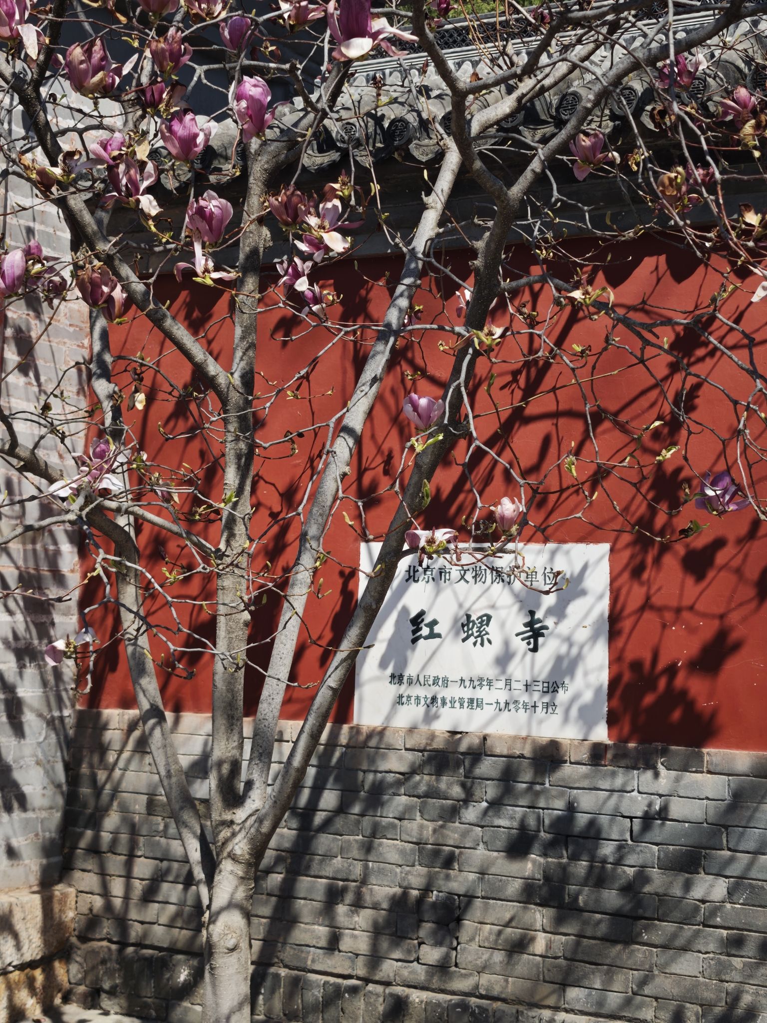 红螺寺旅行图片 2