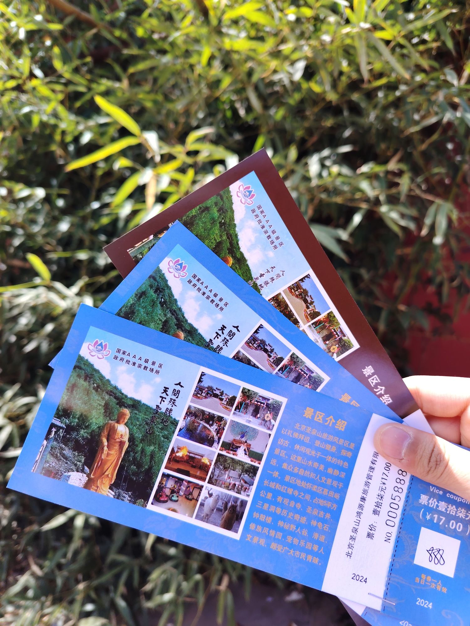 红螺寺旅行图片 3