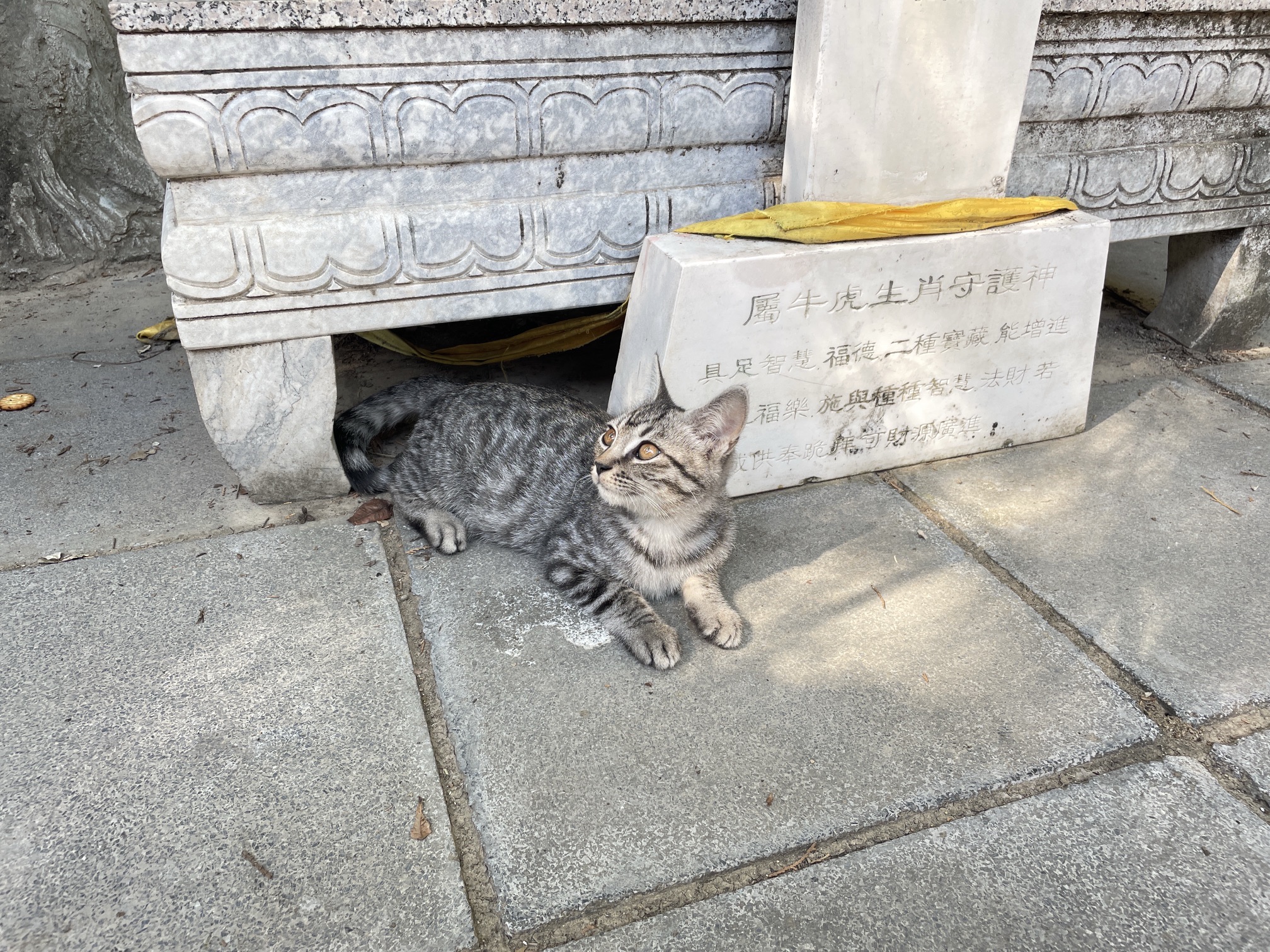 八大处公园旅行图片 1