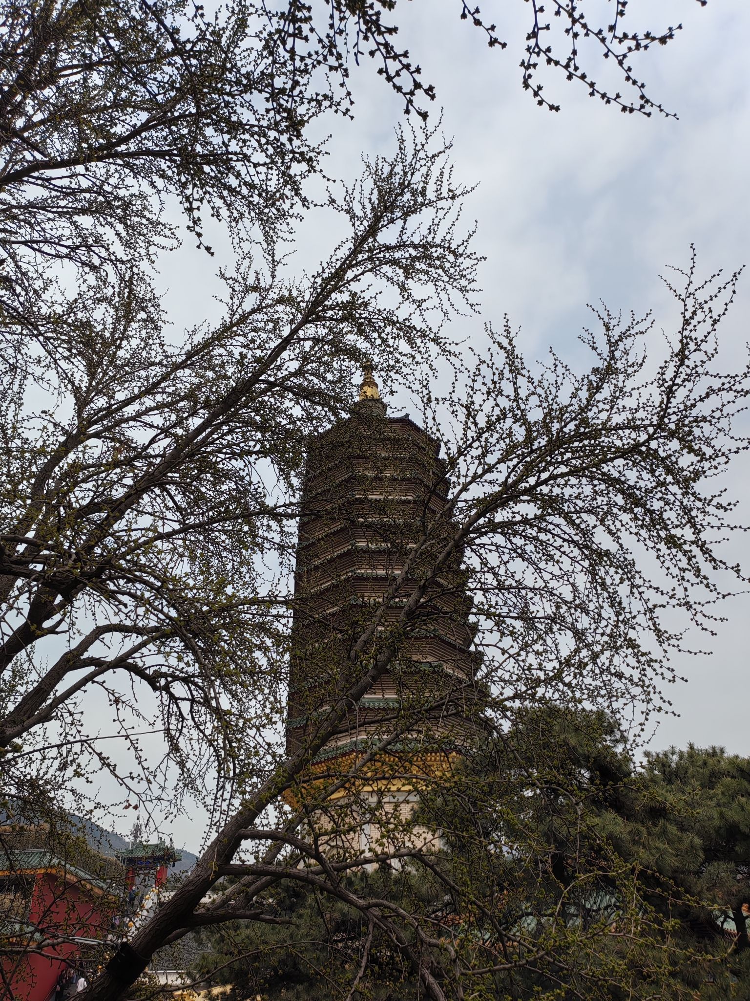八大处公园旅行图片 1
