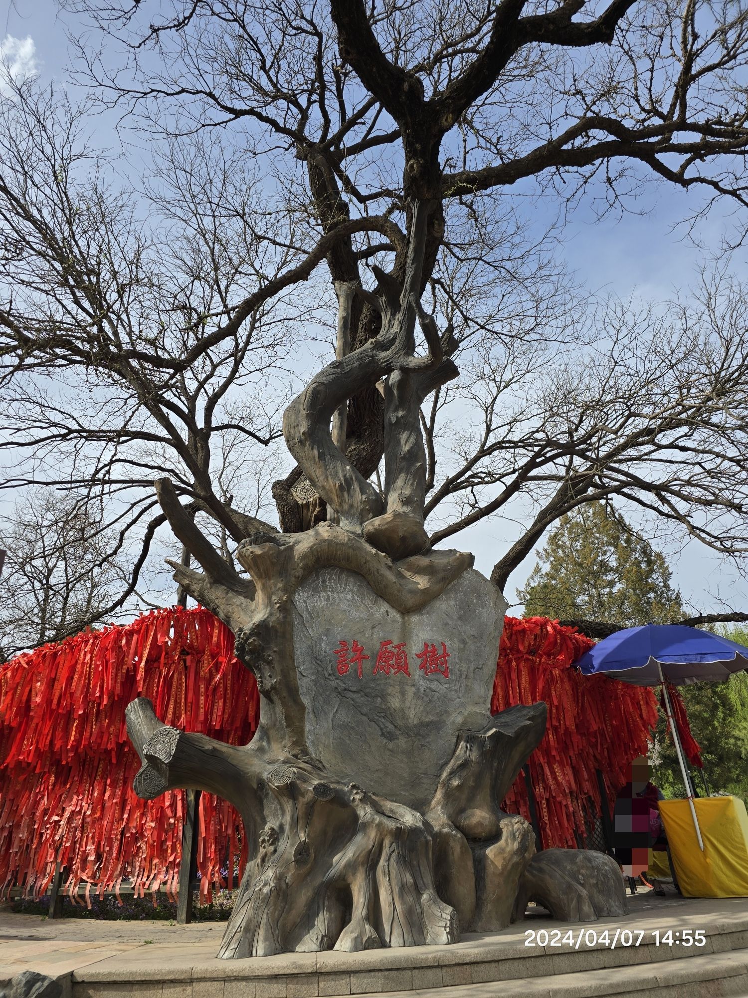 八大处公园旅行图片 1