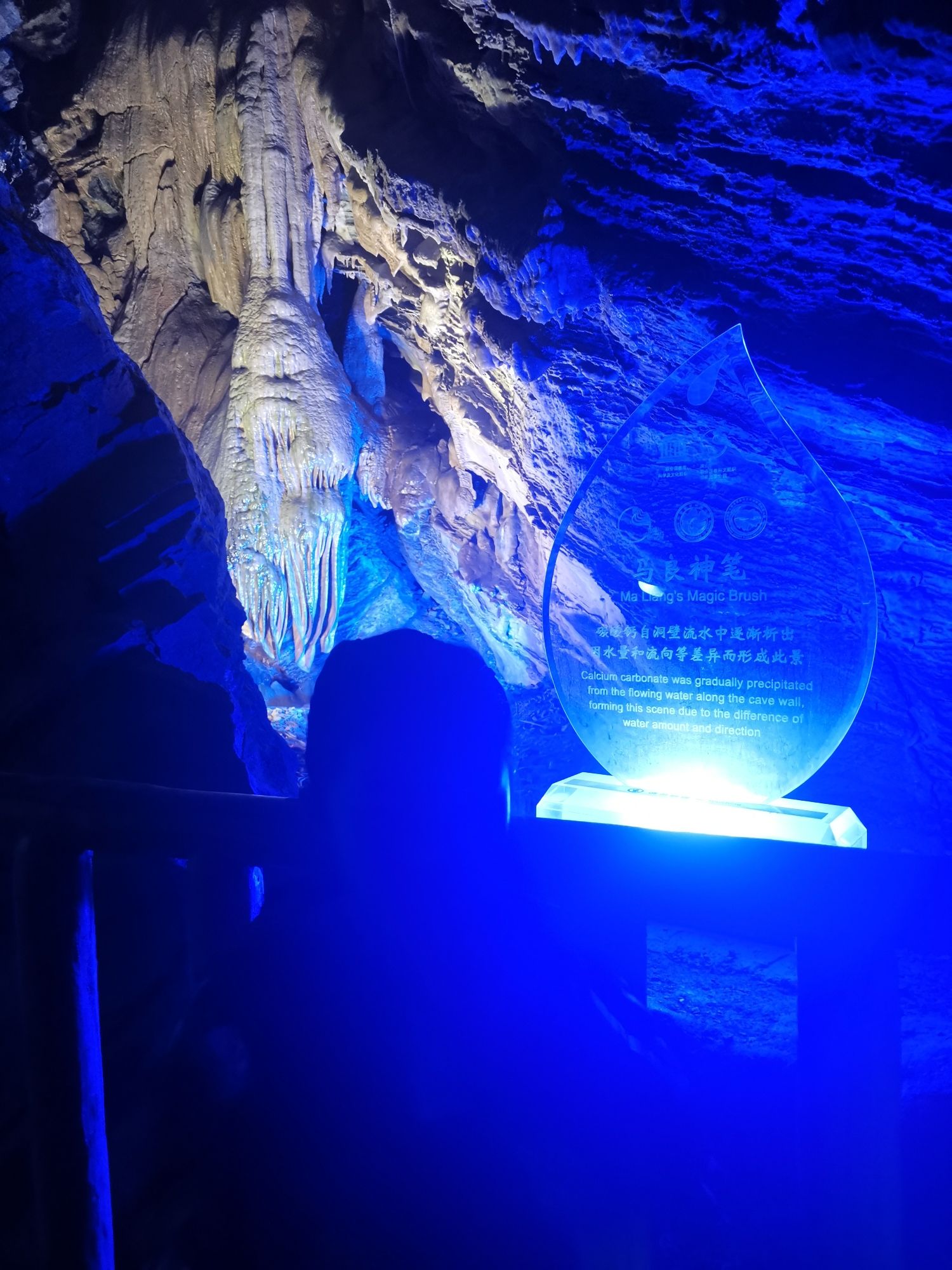 银狐洞园区旅行图片 3