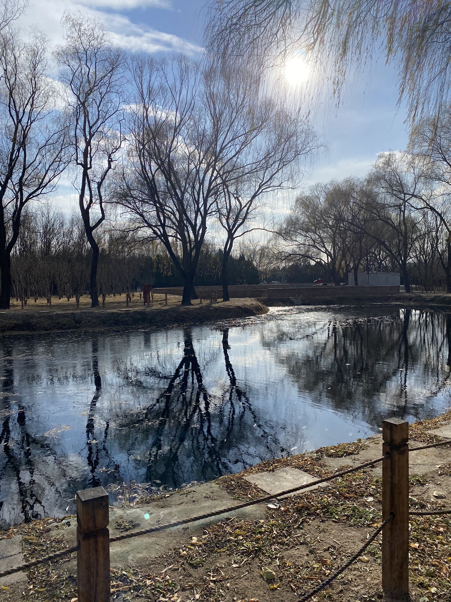 古塔公园旅行图片 3