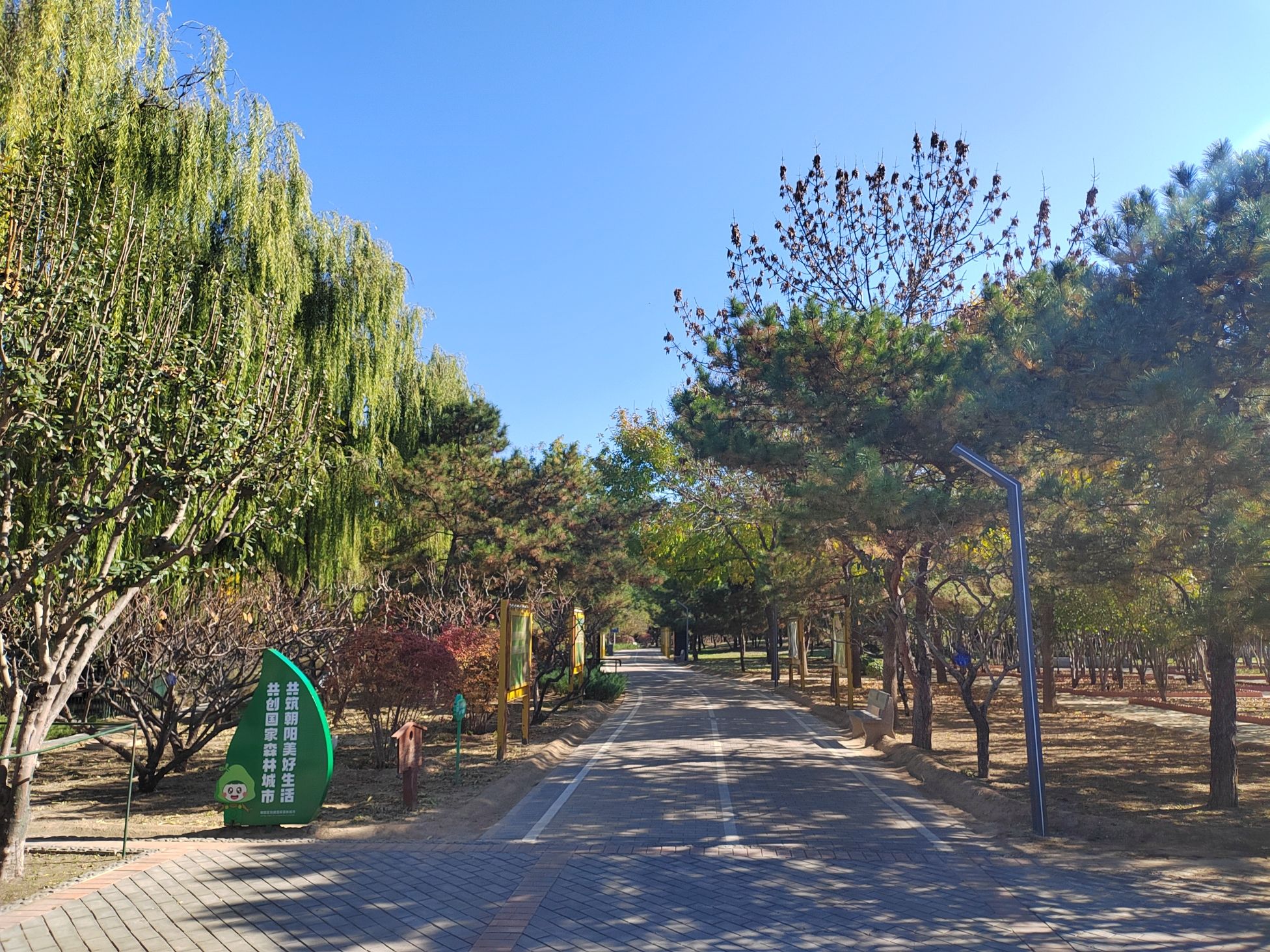 古塔公园旅行图片 3