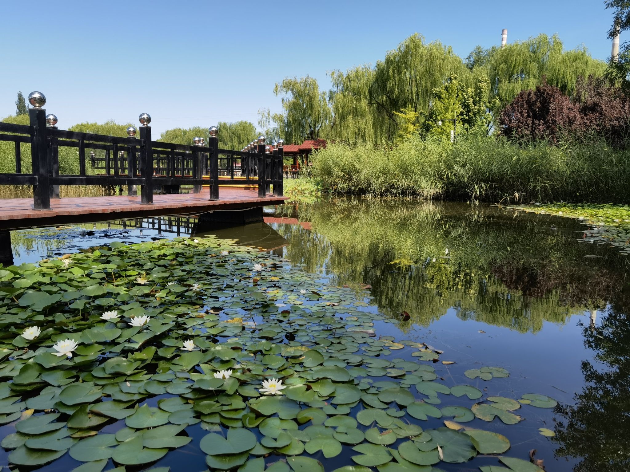 古塔公园旅行图片 1