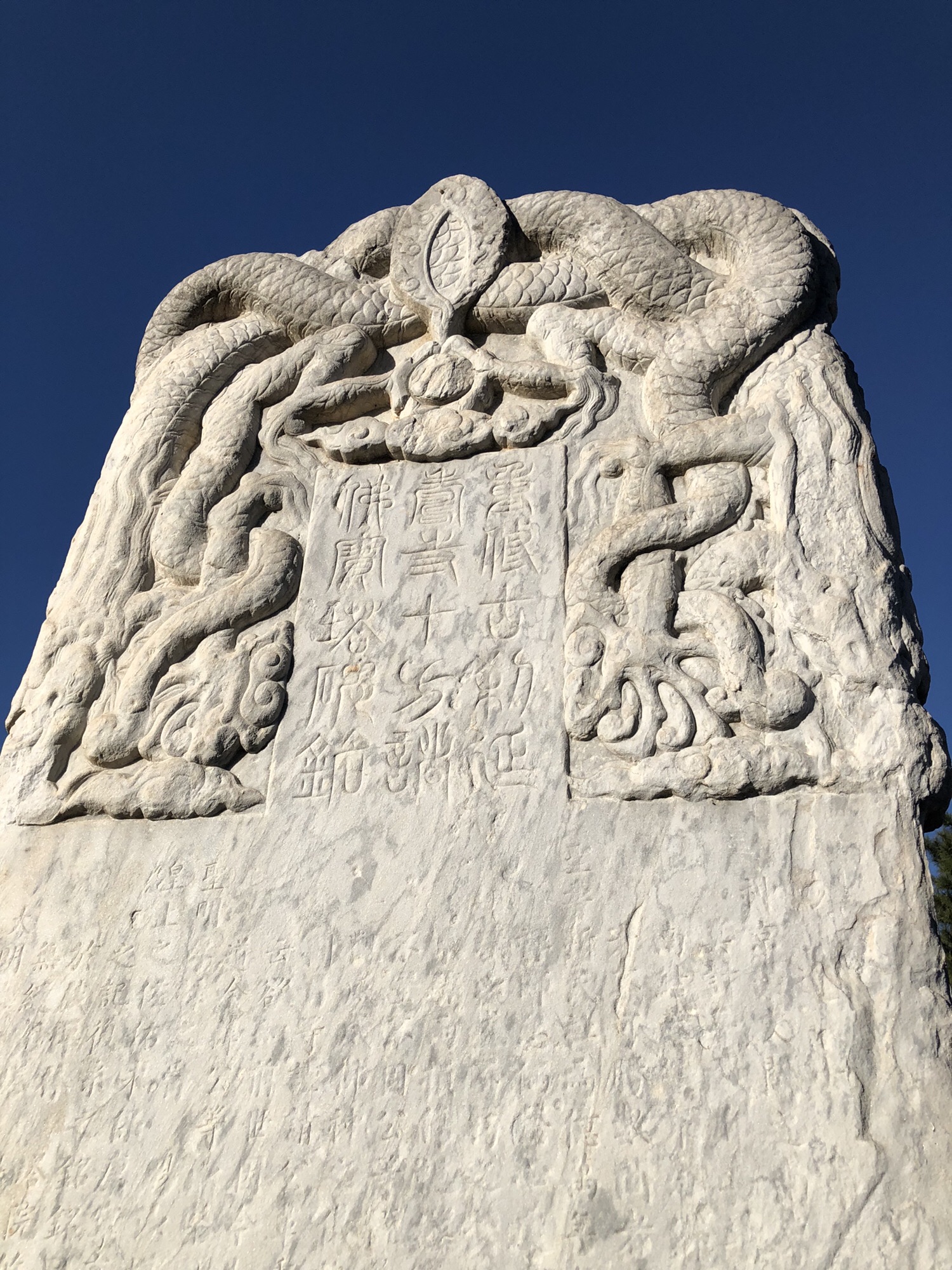 古塔公园旅行图片 3