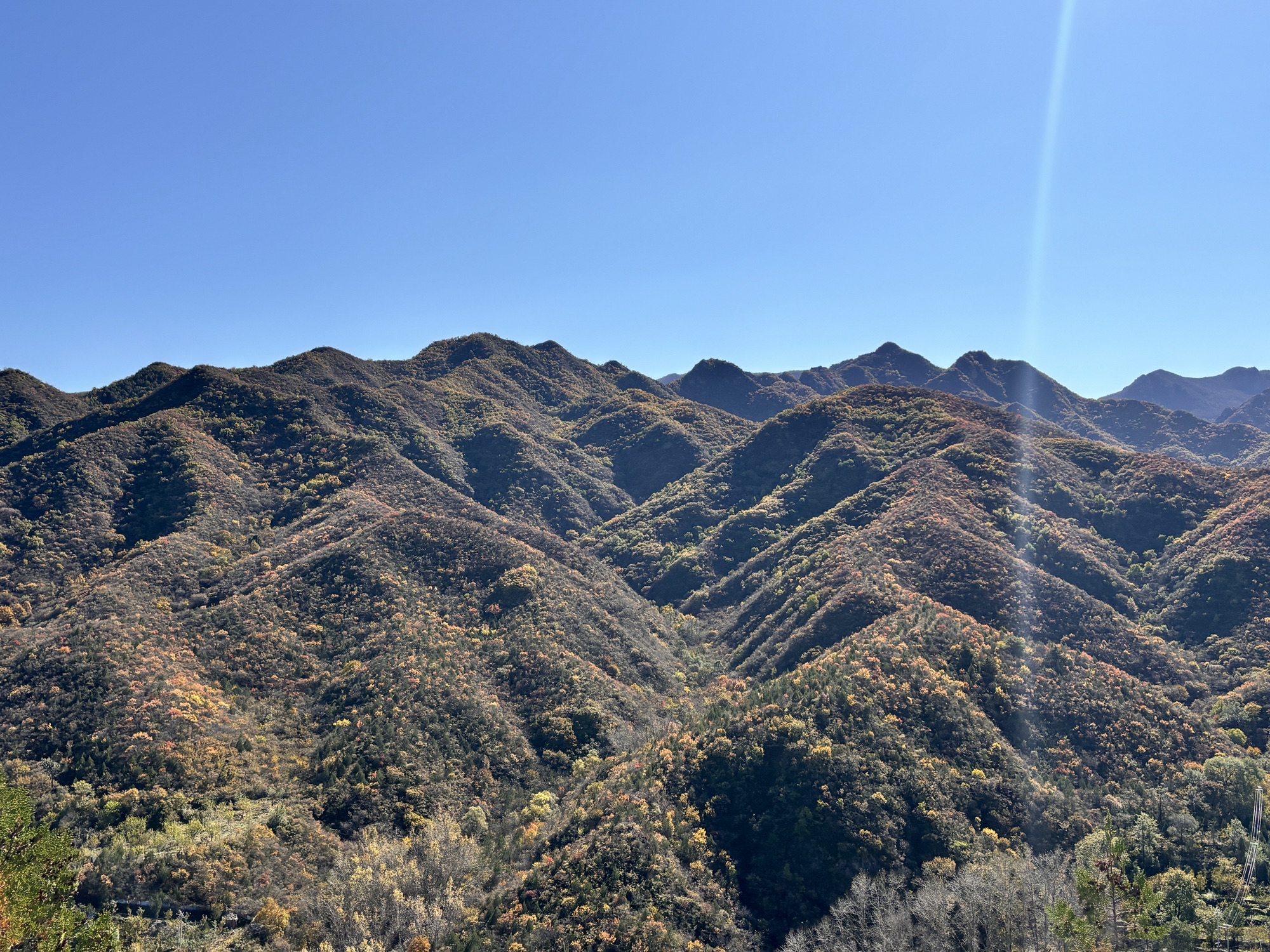 西达摩自然风景区旅行图片 1