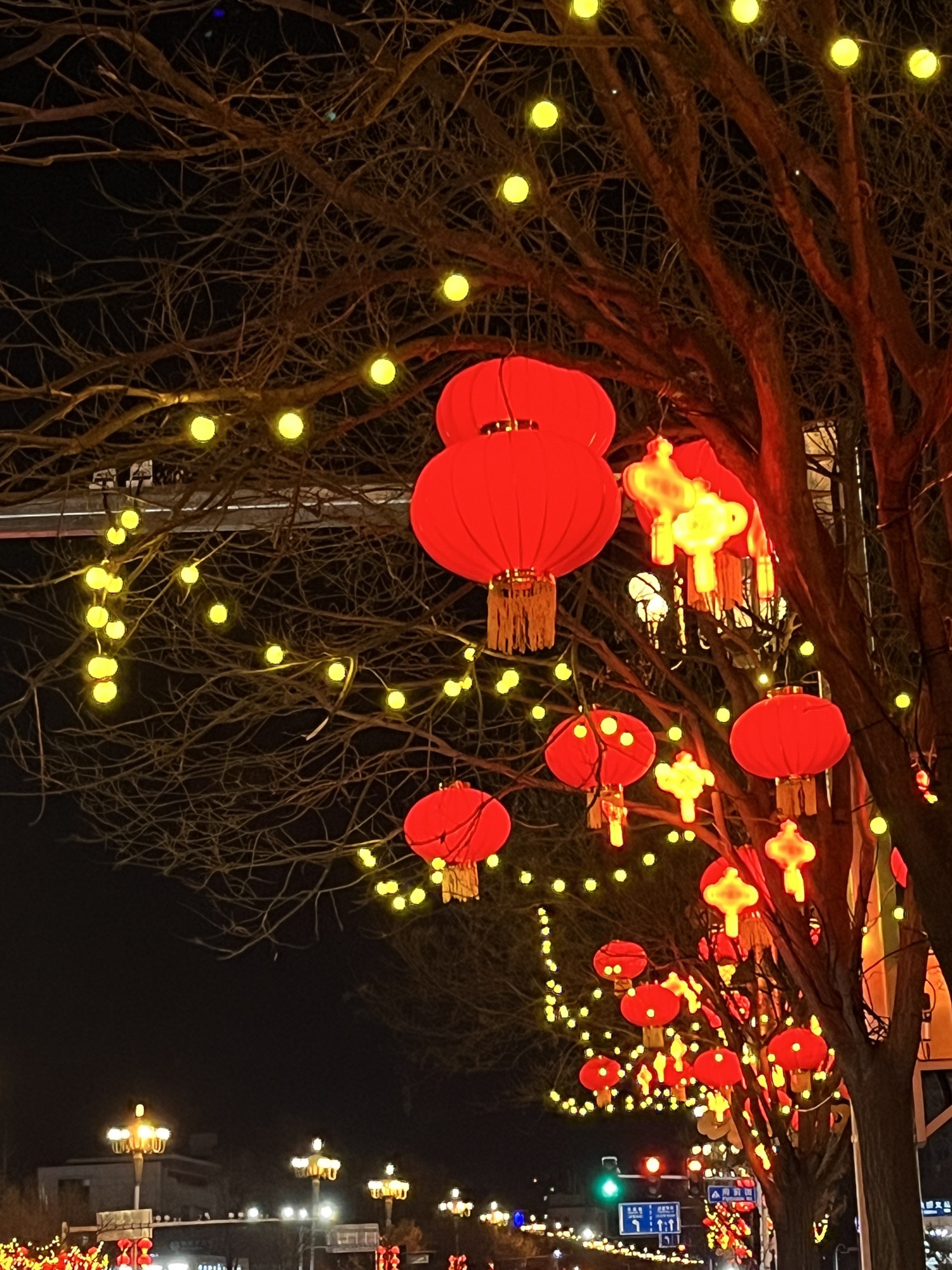 光明文化广场旅行图片 3