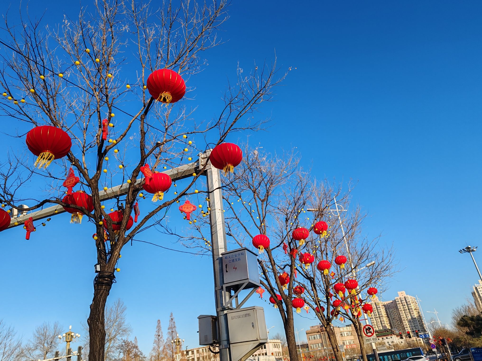 光明文化广场旅行图片 3