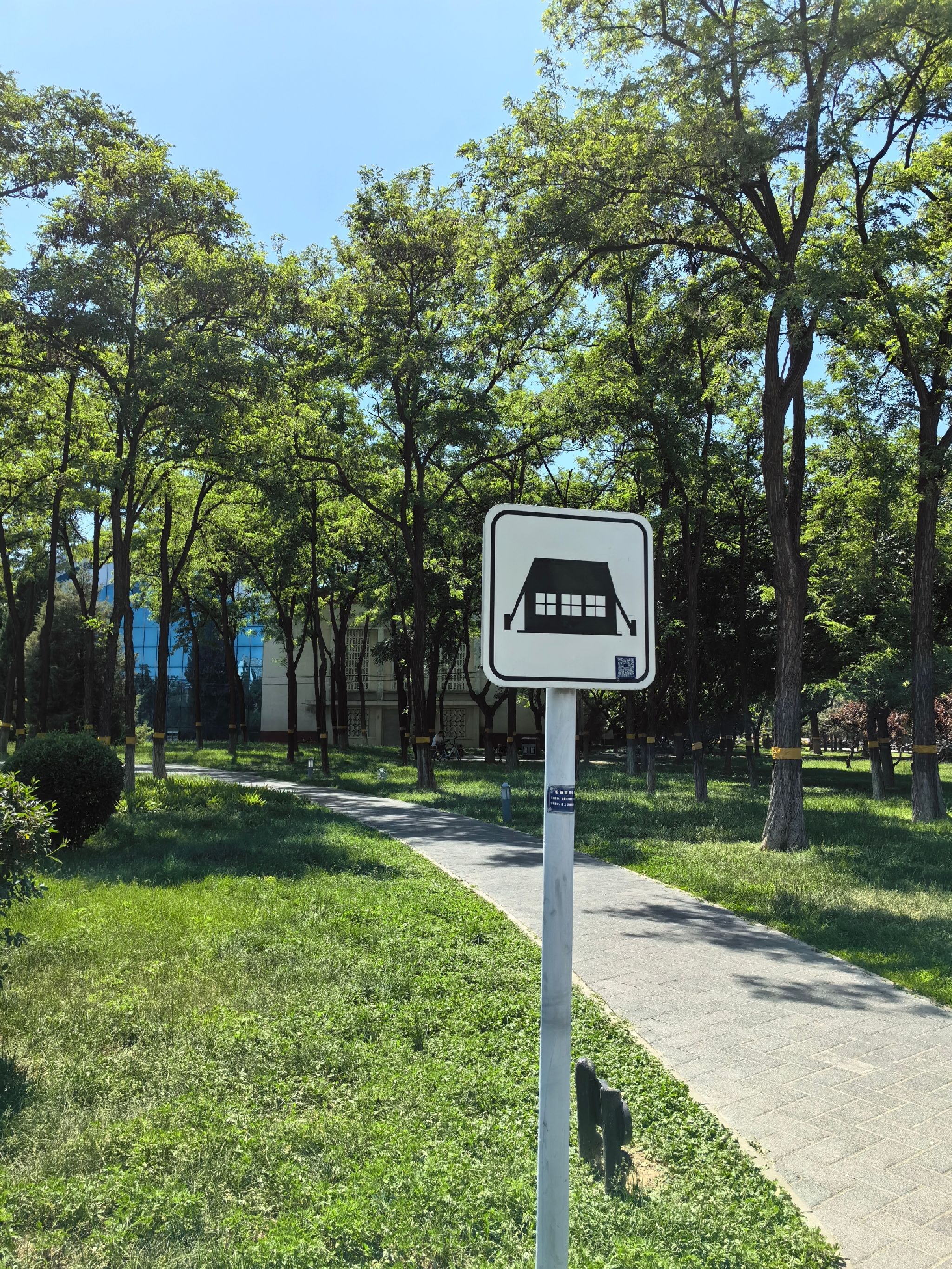 光明文化广场旅行图片 2