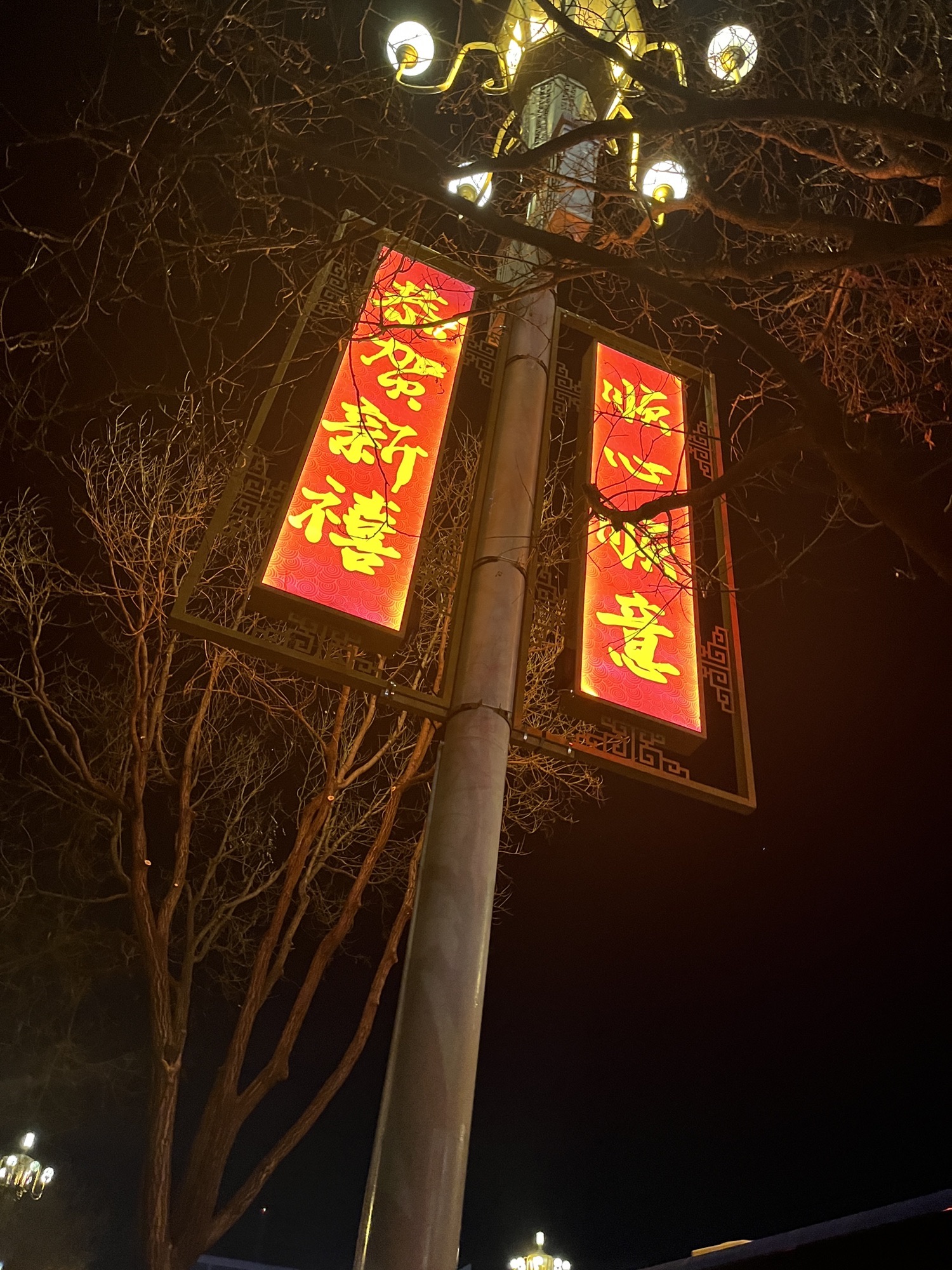 光明文化广场旅行图片 2
