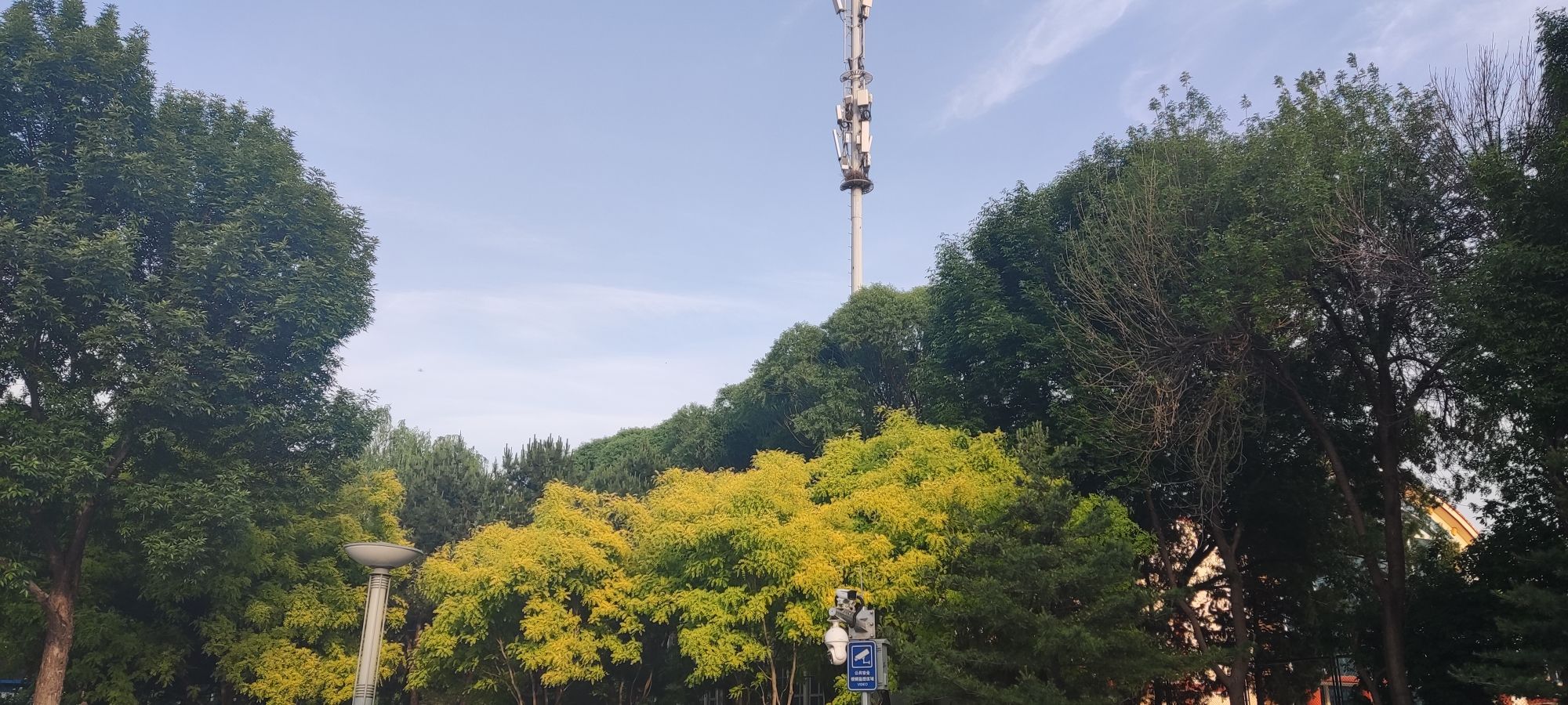光明文化广场旅行图片 3