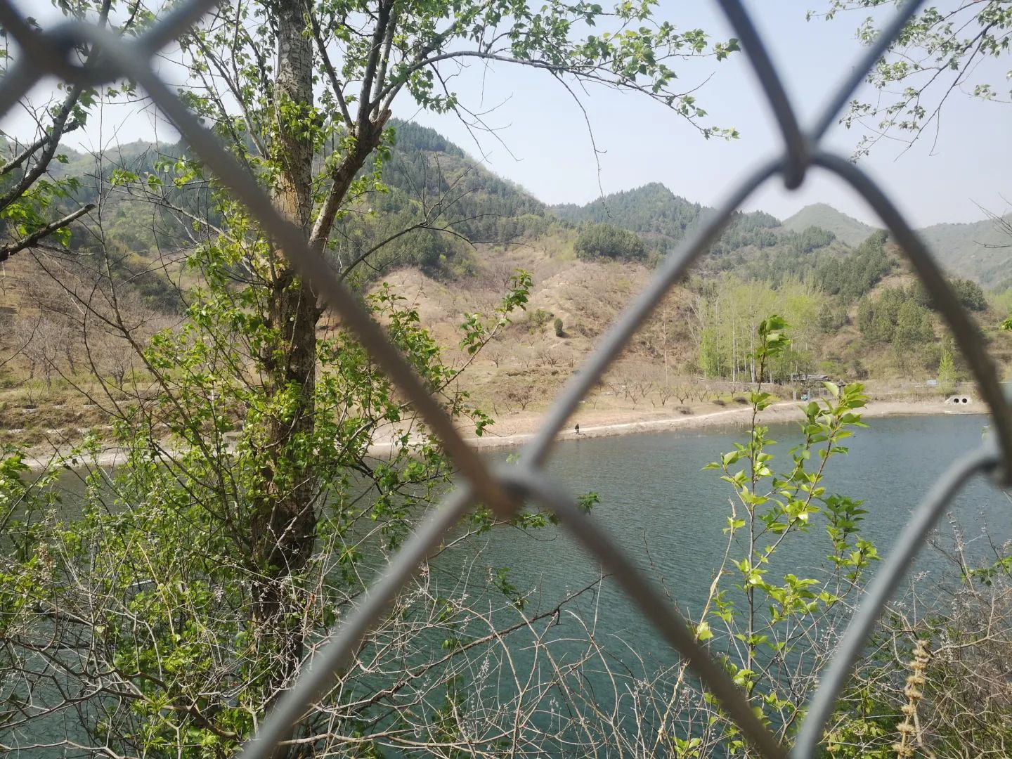 不老湖风景区旅行图片 2