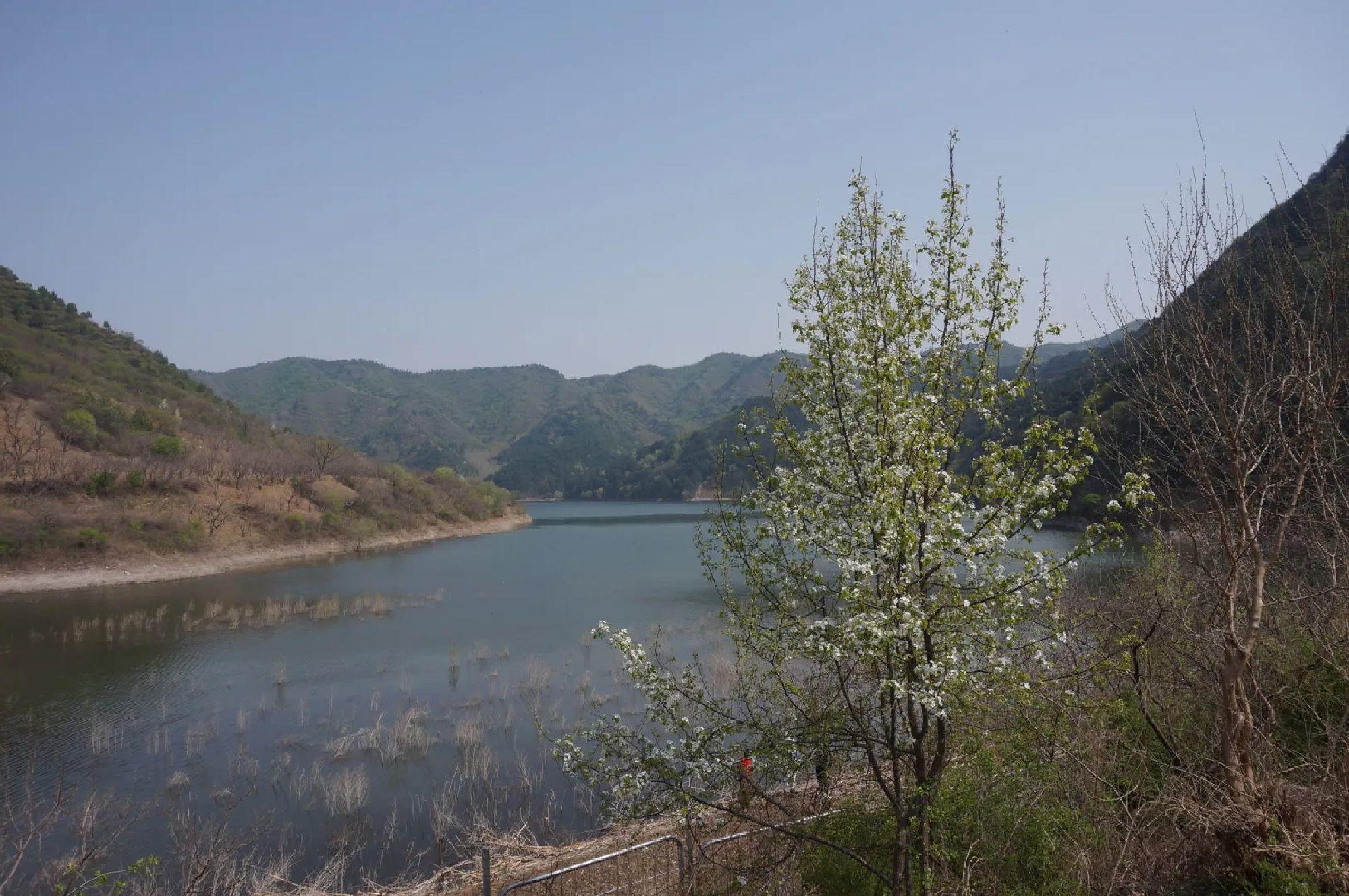 不老湖风景区旅行图片 1