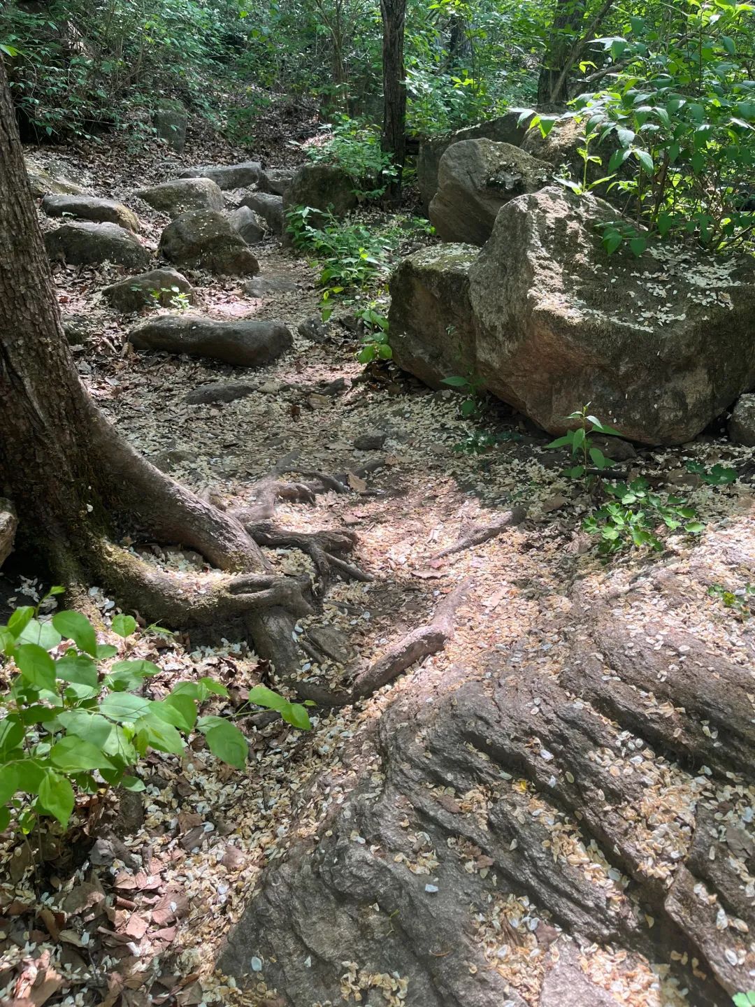 桃源仙谷自然风景区旅行图片 3