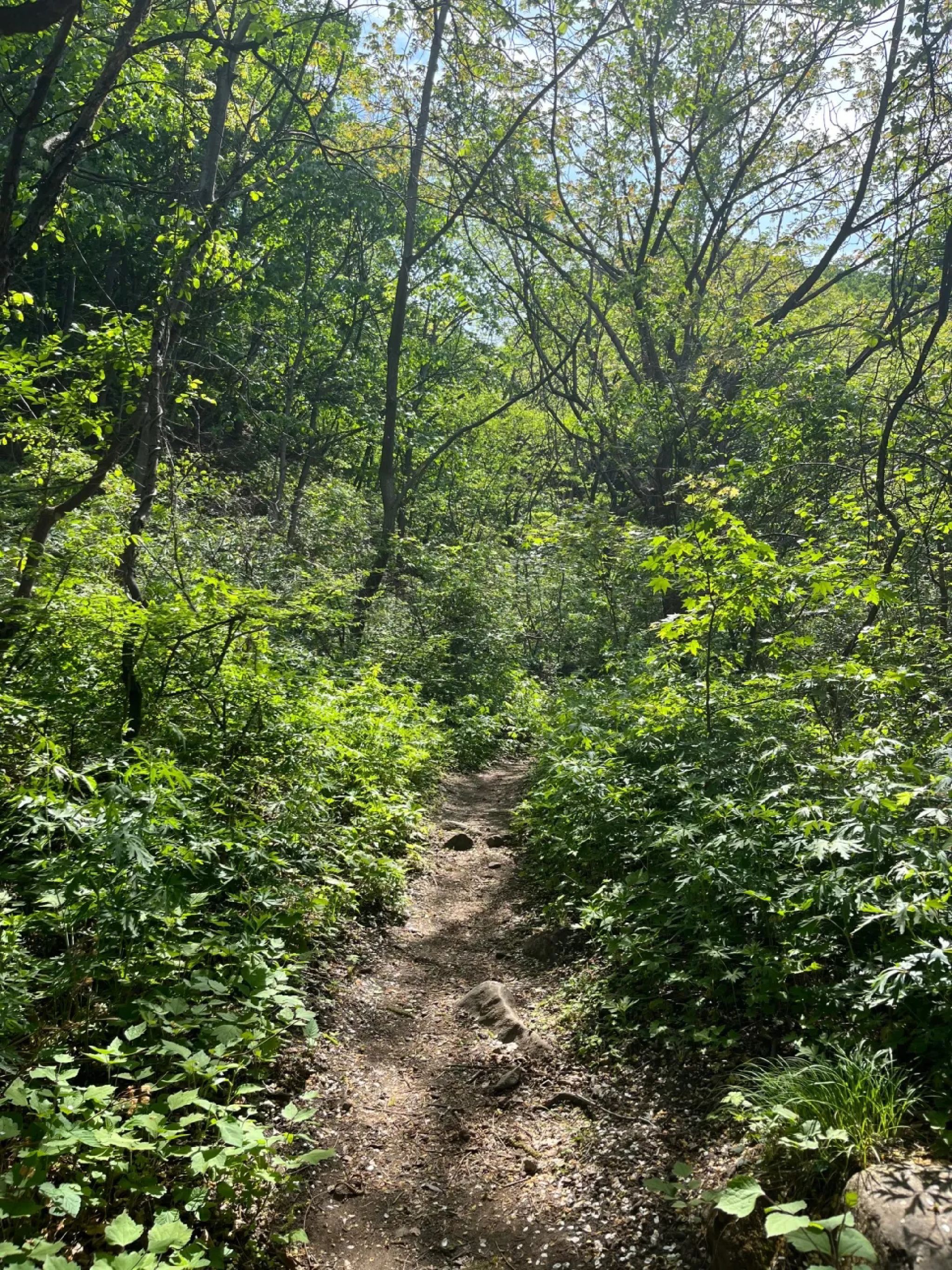 桃源仙谷自然风景区旅行图片 1