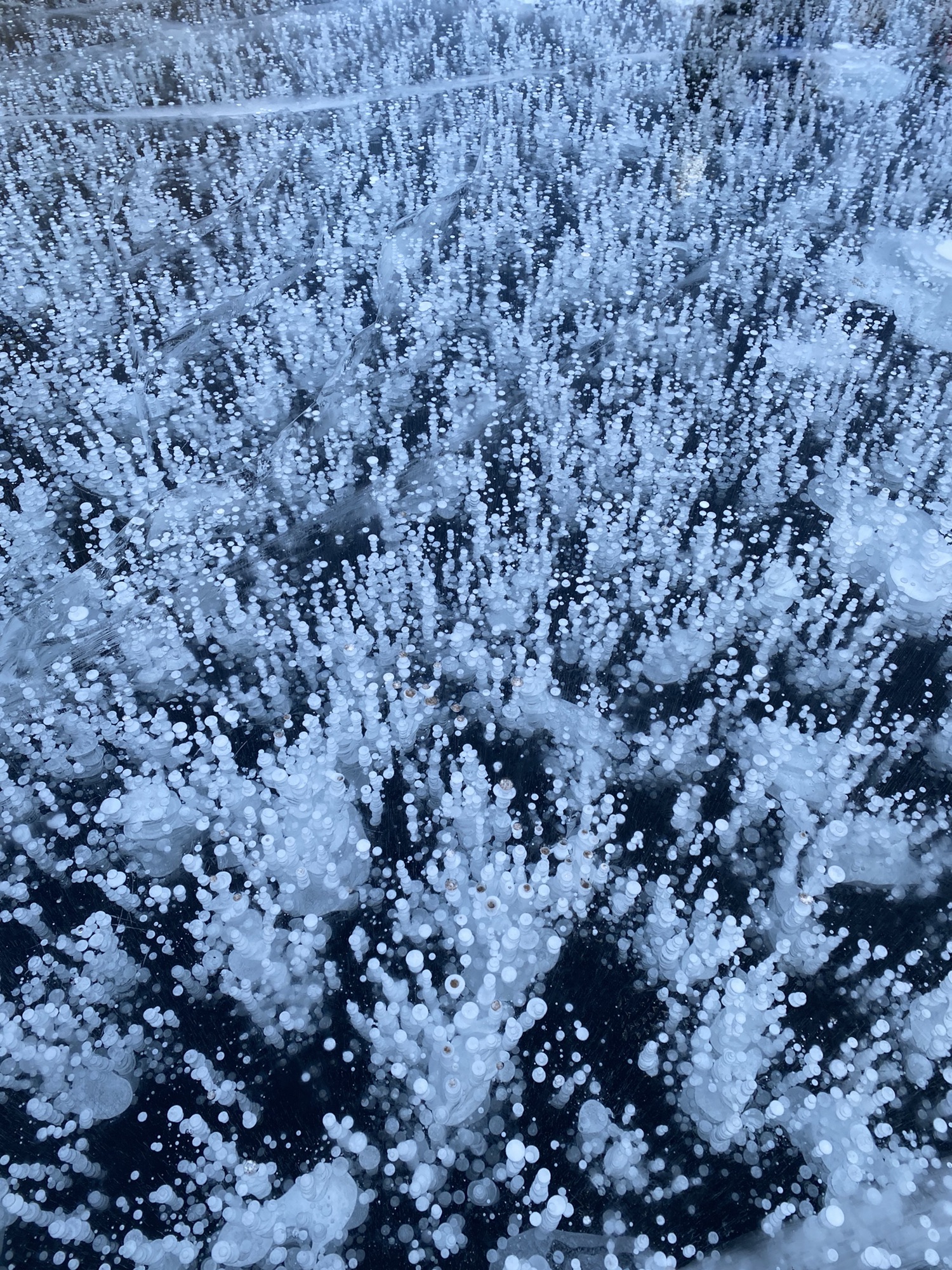 桃源仙谷自然风景区旅行图片 1