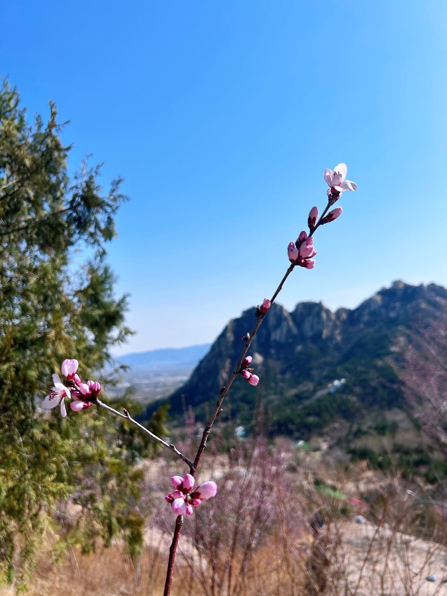 北京后花园(白虎涧)风景区旅行图片 3