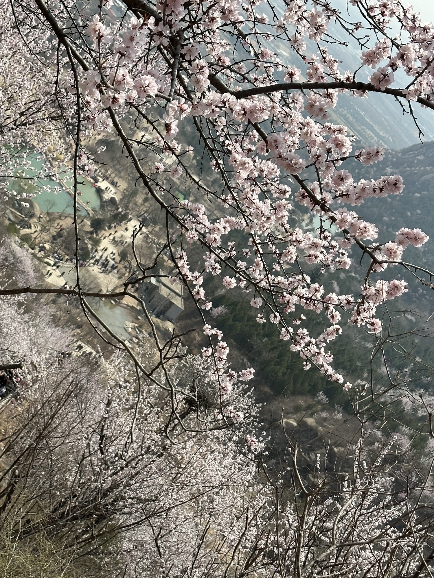 北京后花园(白虎涧)风景区旅行图片 3