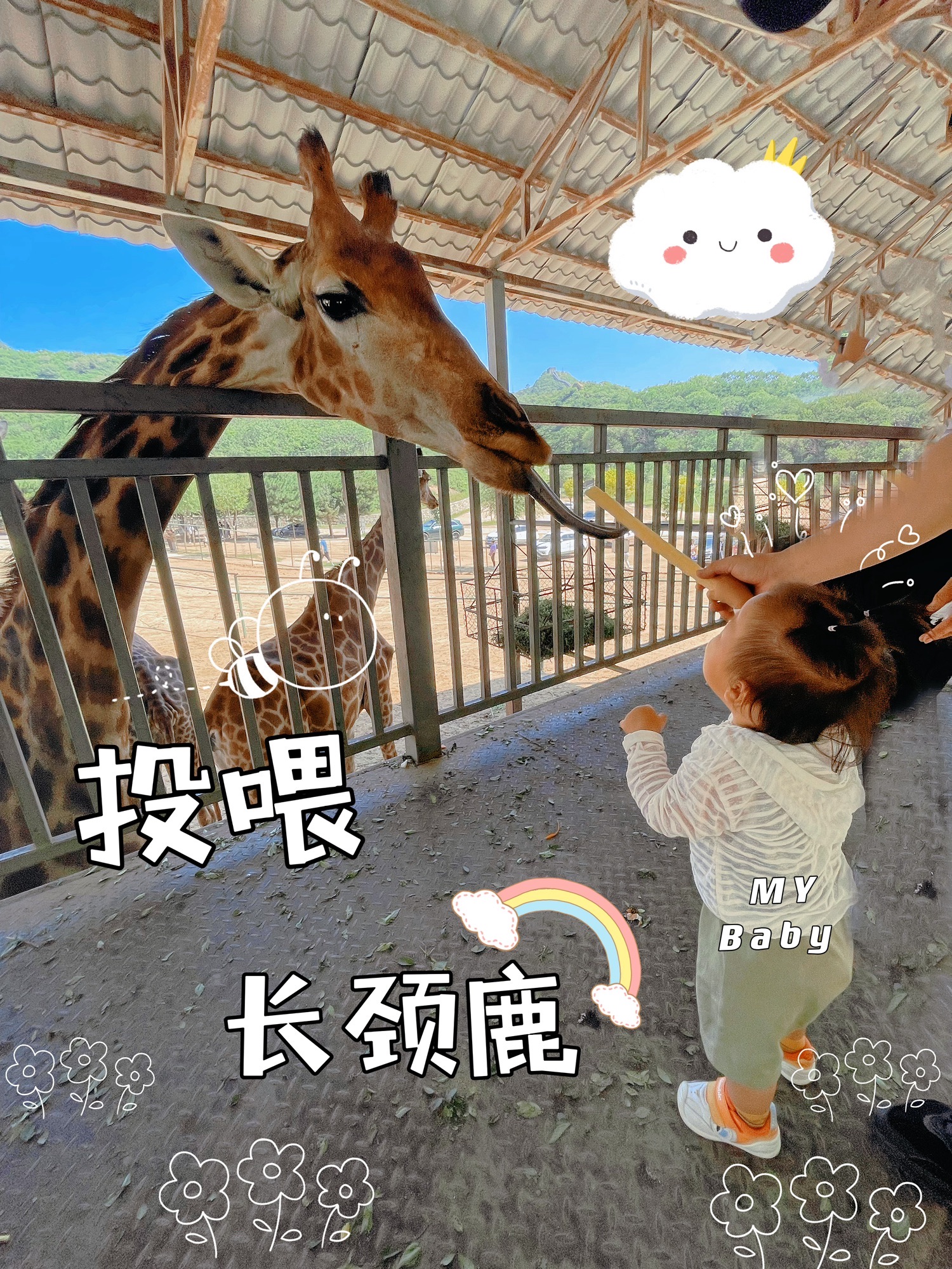 八达岭野生动物世界旅行图片 1