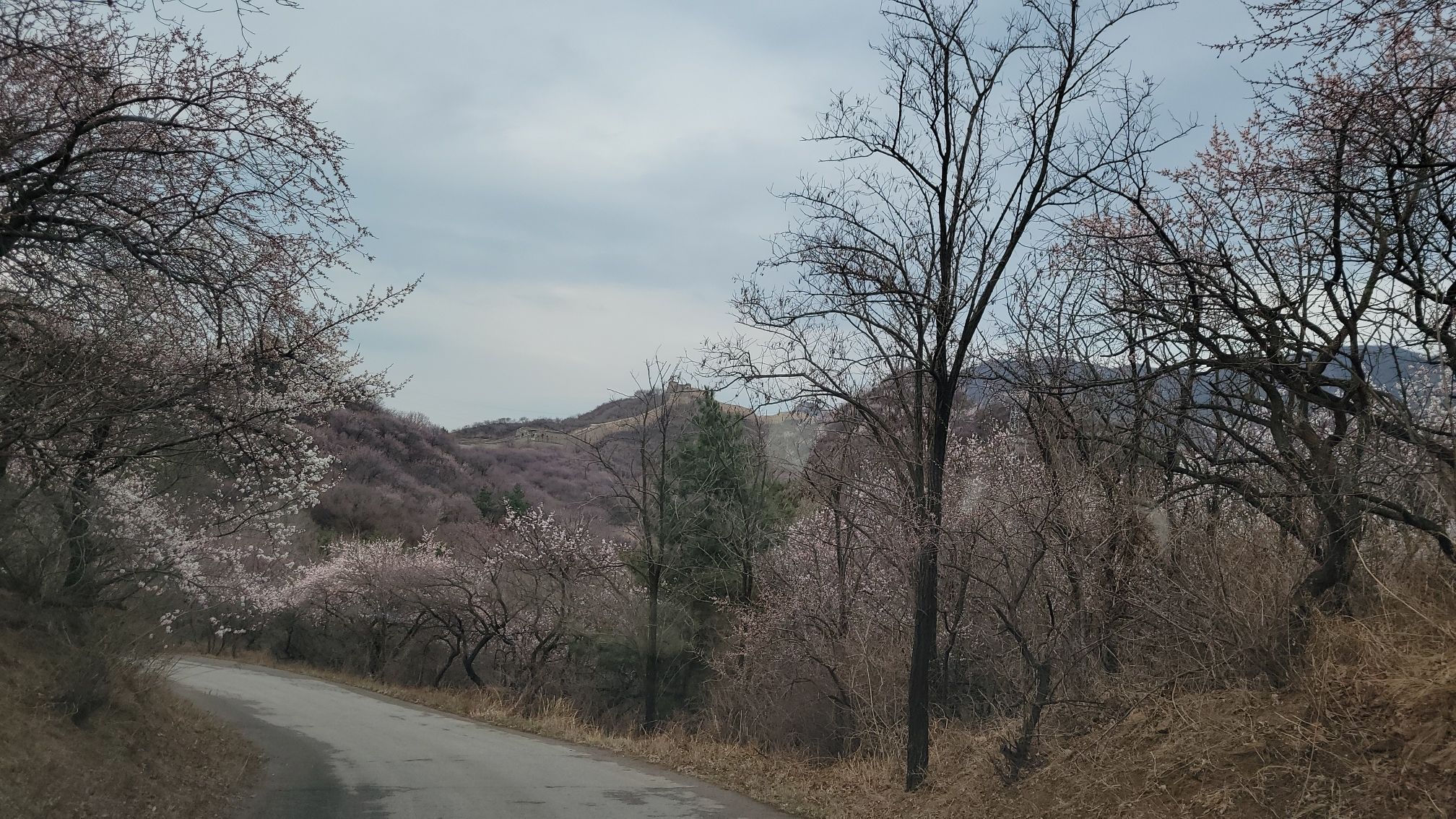 八达岭野生动物世界旅行图片 1