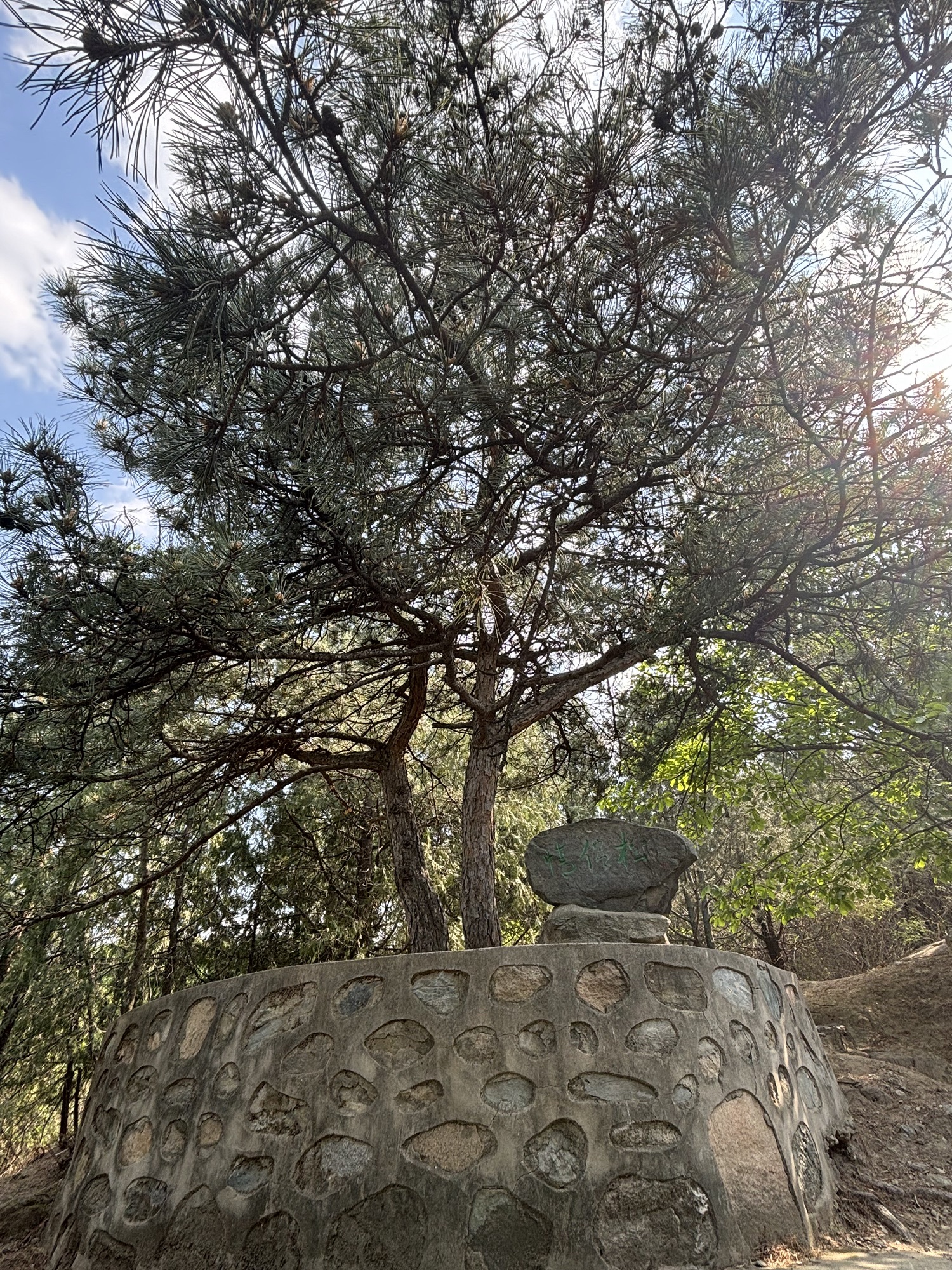 北京鹫峰国家森林公园旅行图片 2