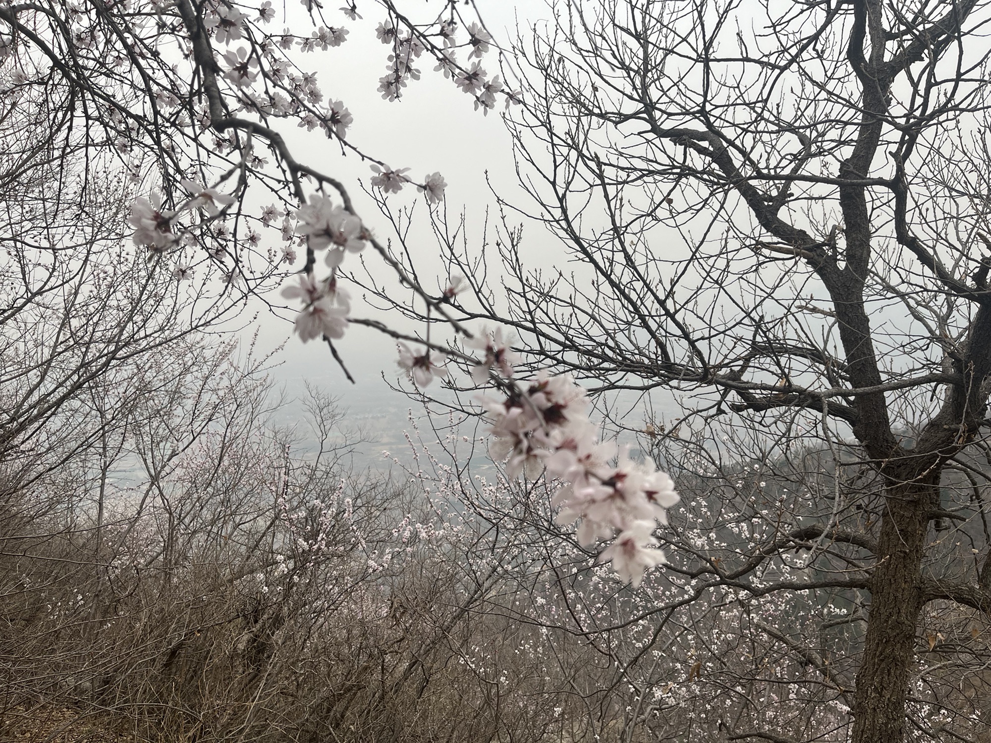 北京鹫峰国家森林公园旅行图片 3