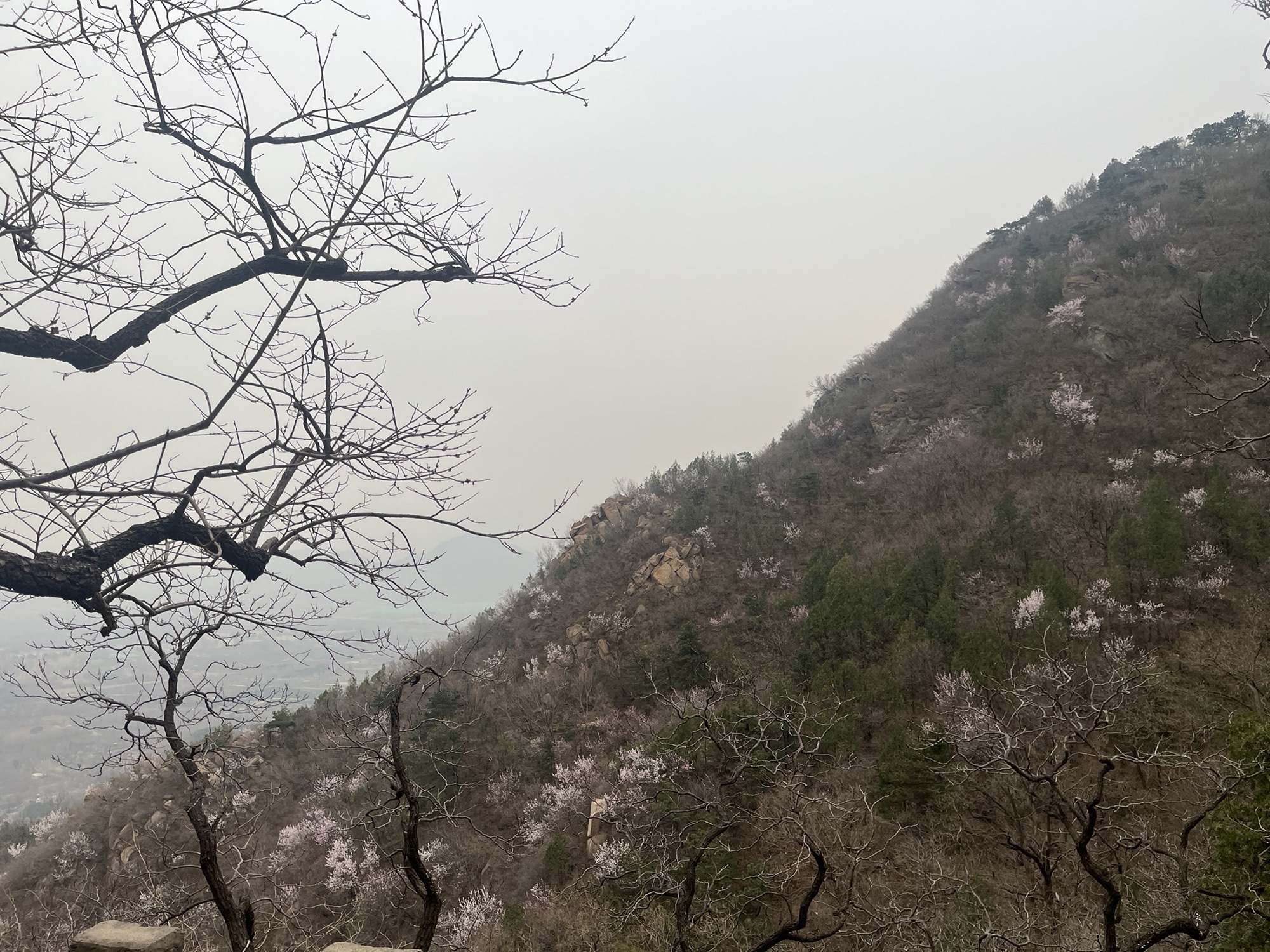 北京鹫峰国家森林公园旅行图片 2