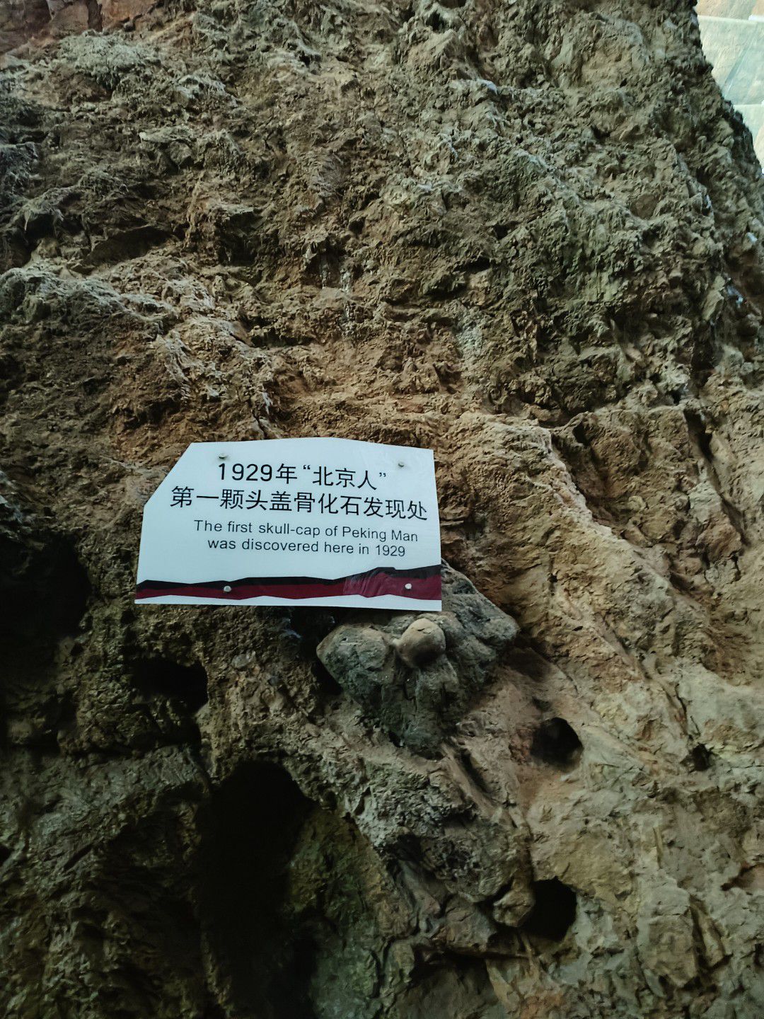 周口店遗址博物馆旅行图片 2