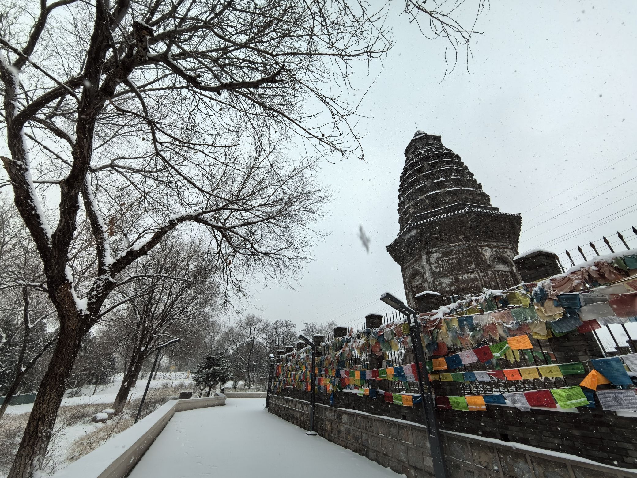 镇岗塔旅行图片 3