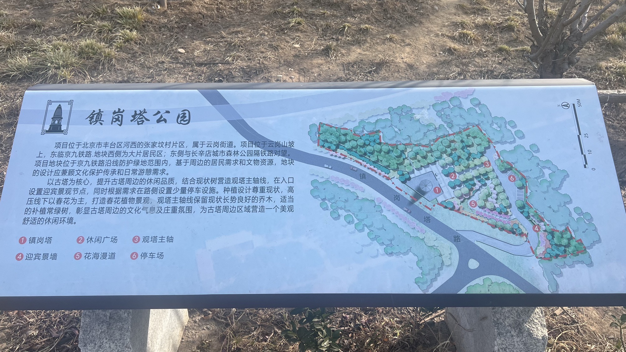 镇岗塔旅行图片 3