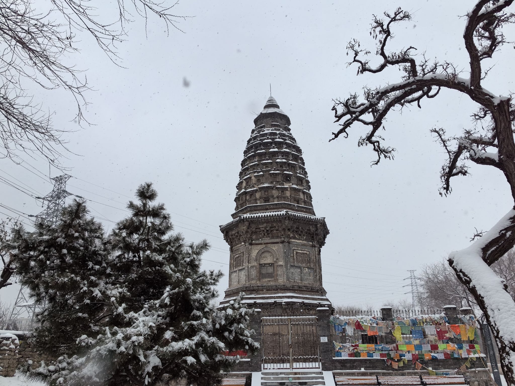 镇岗塔旅行图片 1