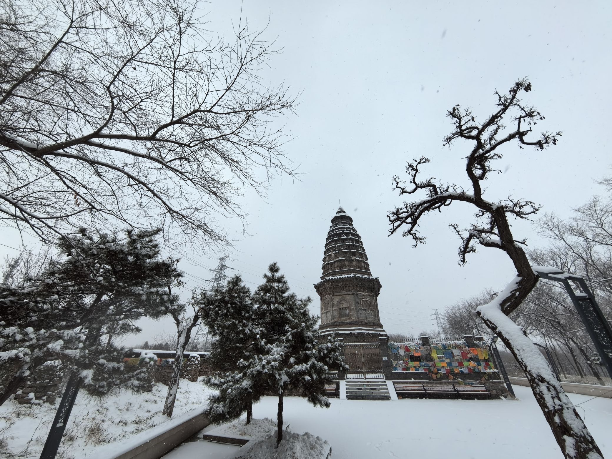 镇岗塔旅行图片 2