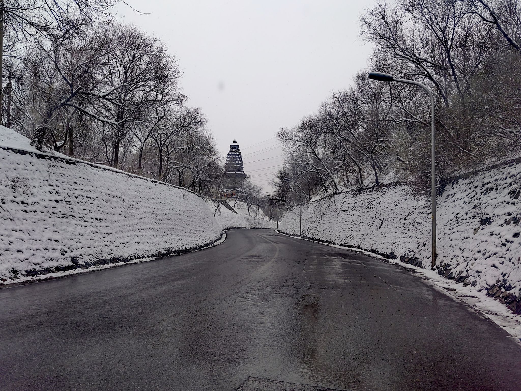 镇岗塔旅行图片 3