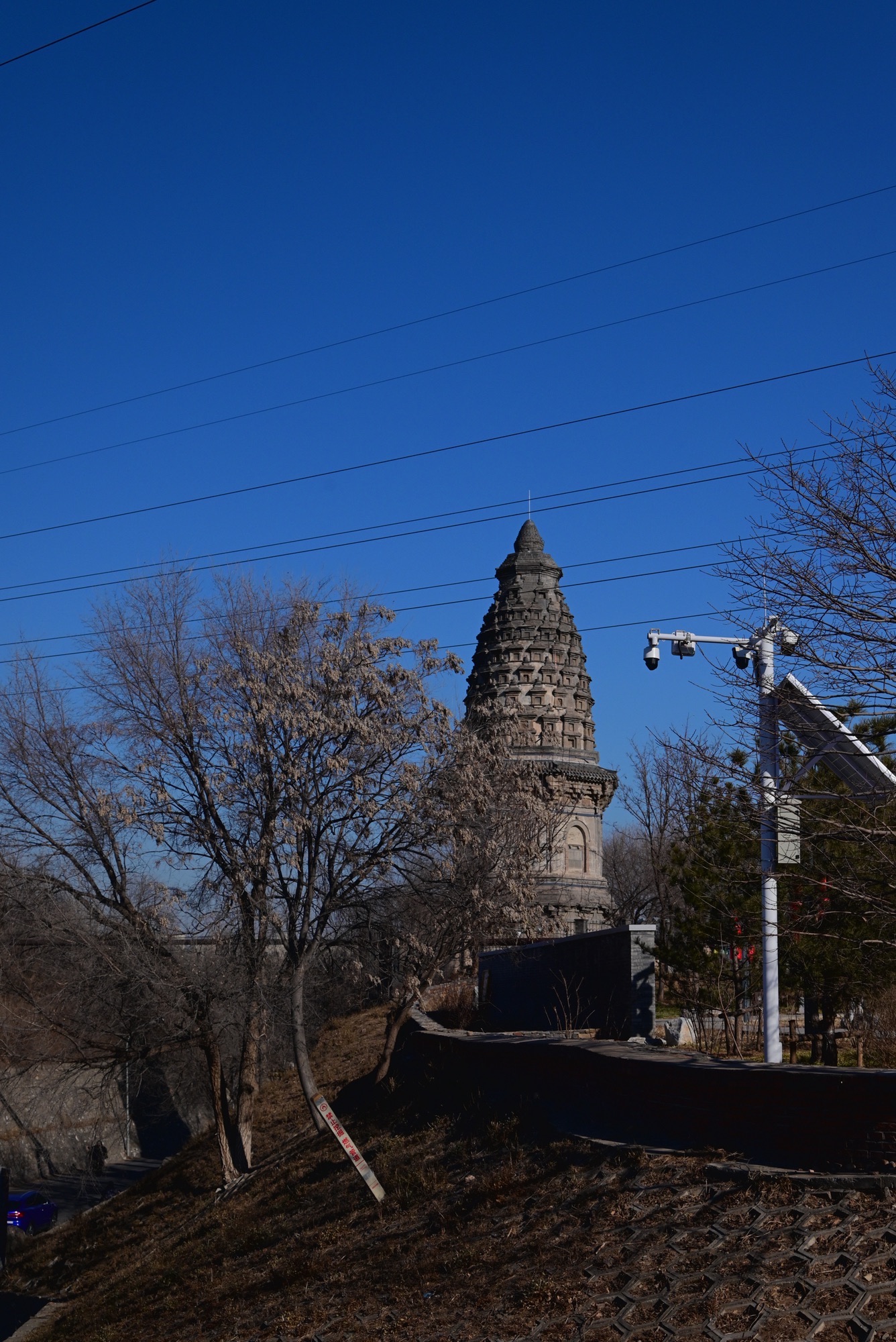 镇岗塔旅行图片 2