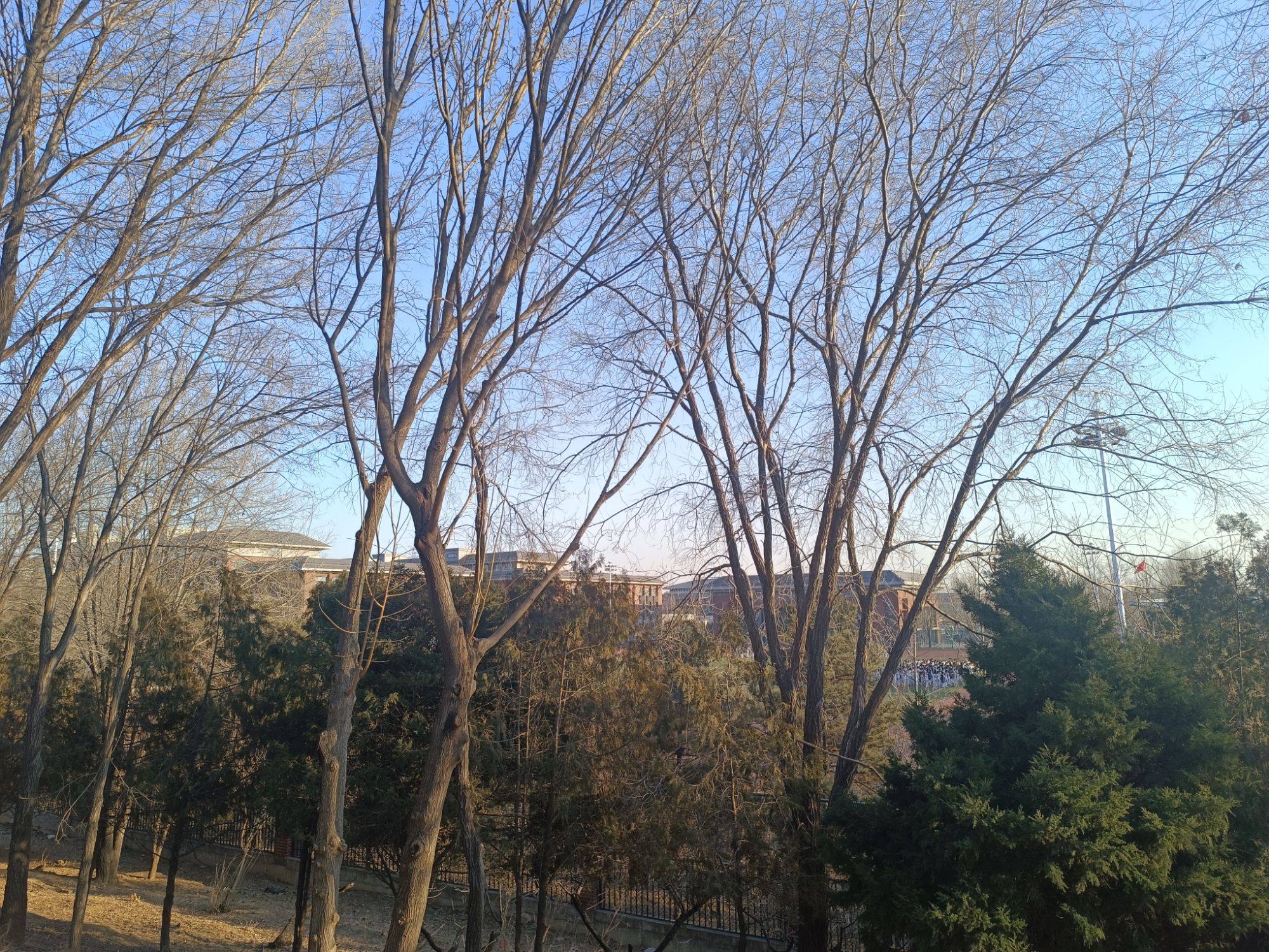 密檐塔旅行图片 3