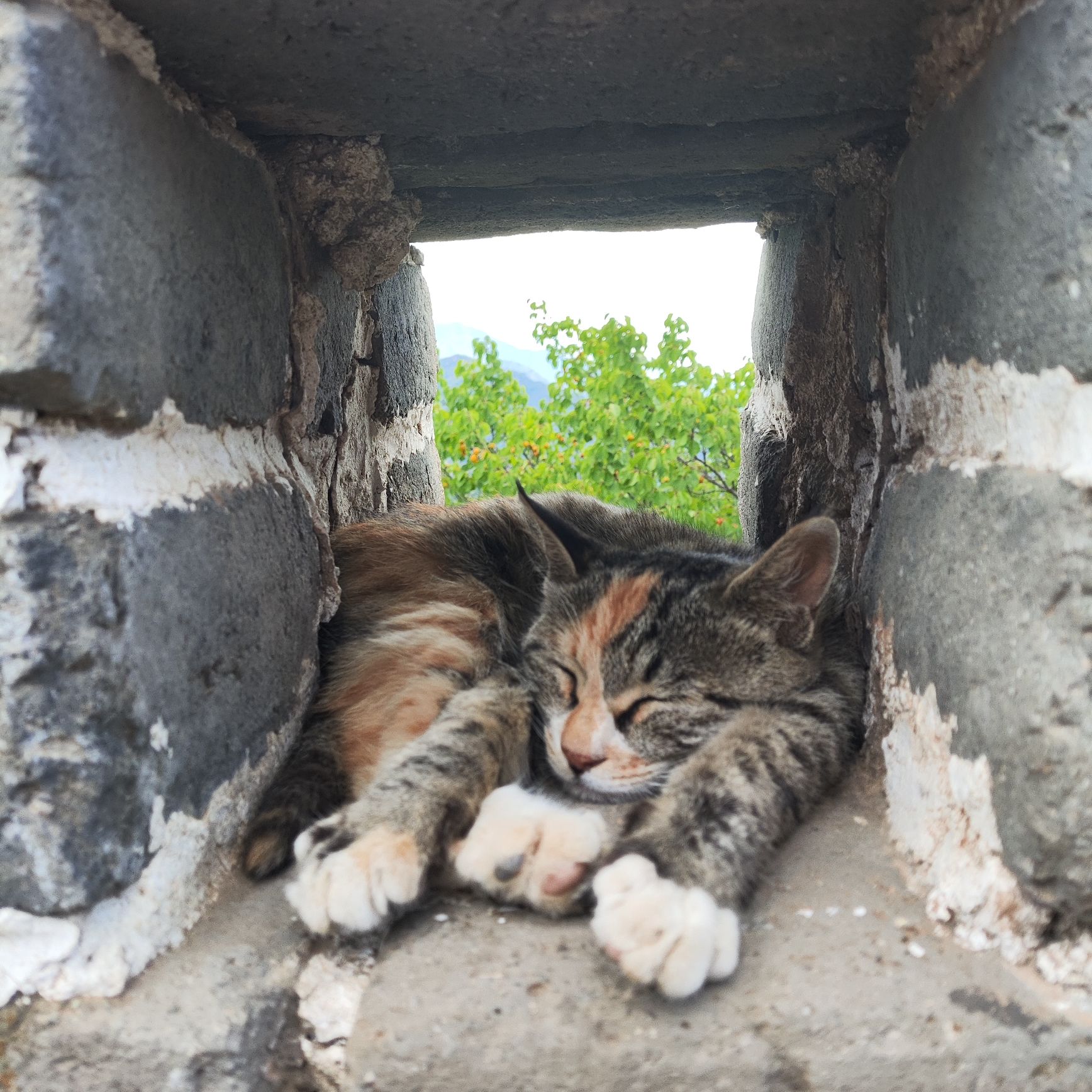 慕田峪长城旅行图片 2