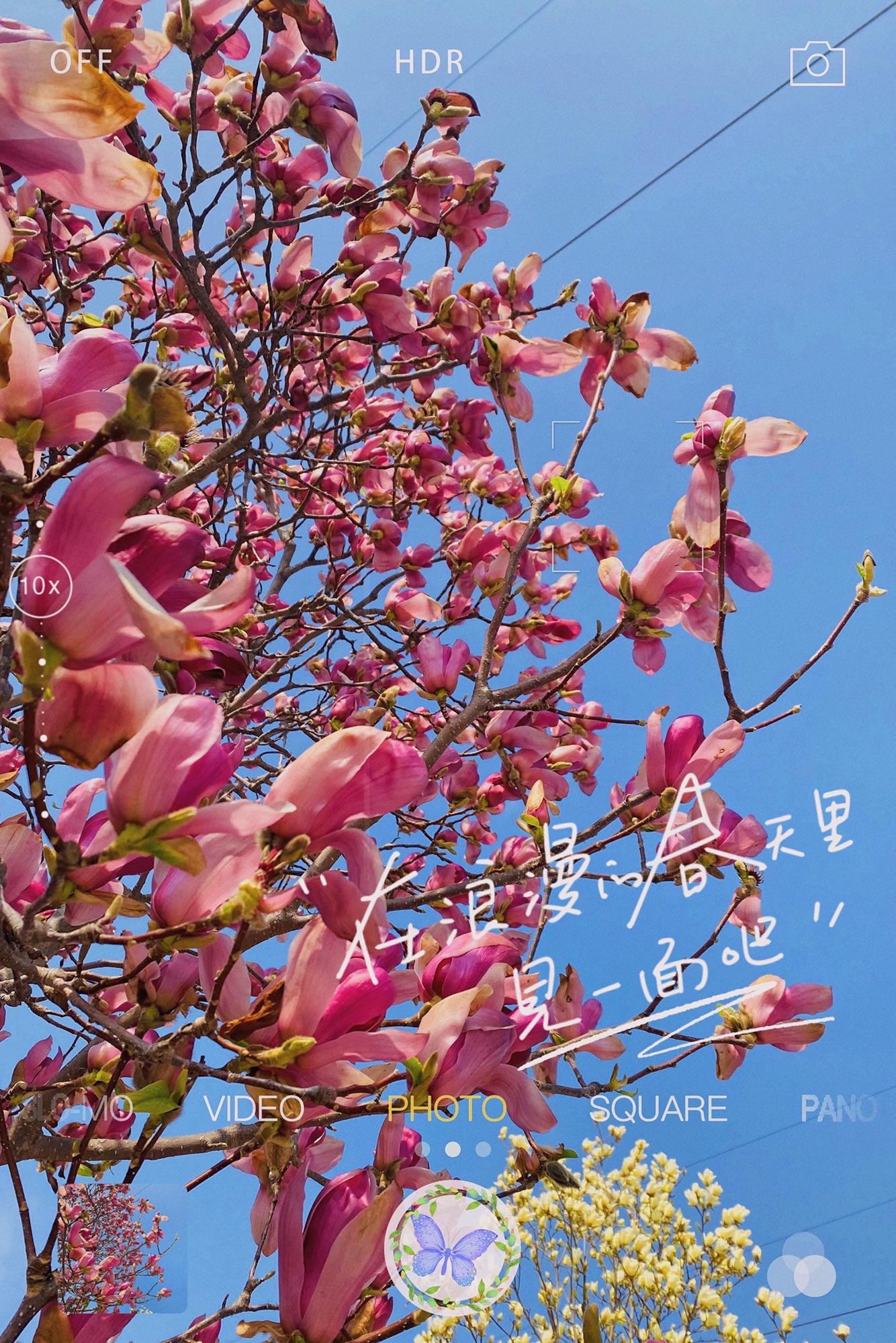 云岗森林公园旅行图片 1