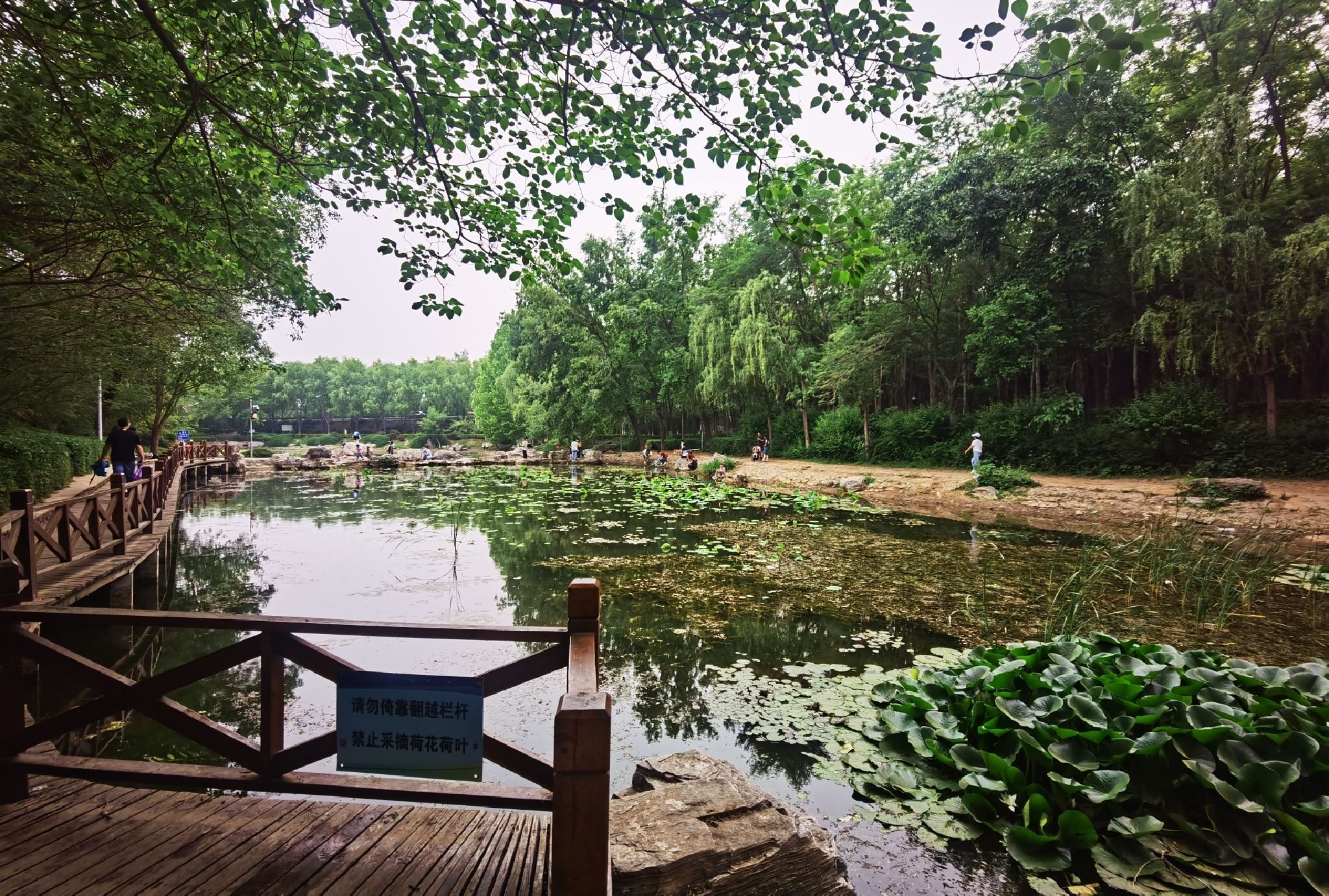 云岗森林公园旅行图片 2