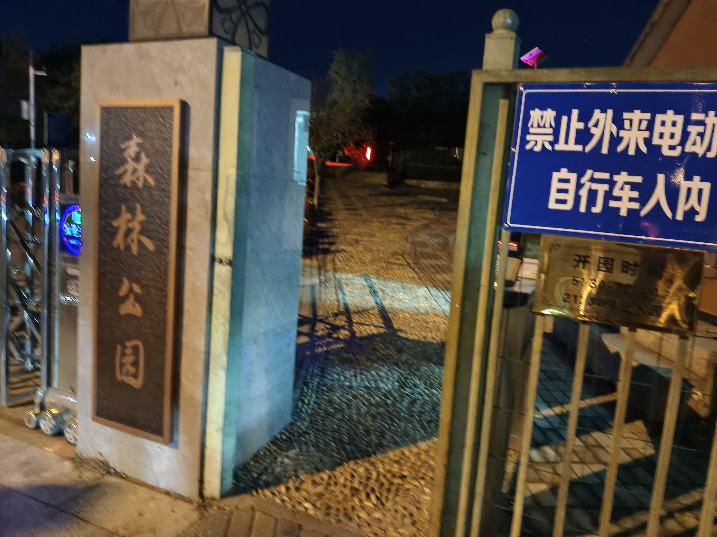 云岗森林公园旅行图片 1