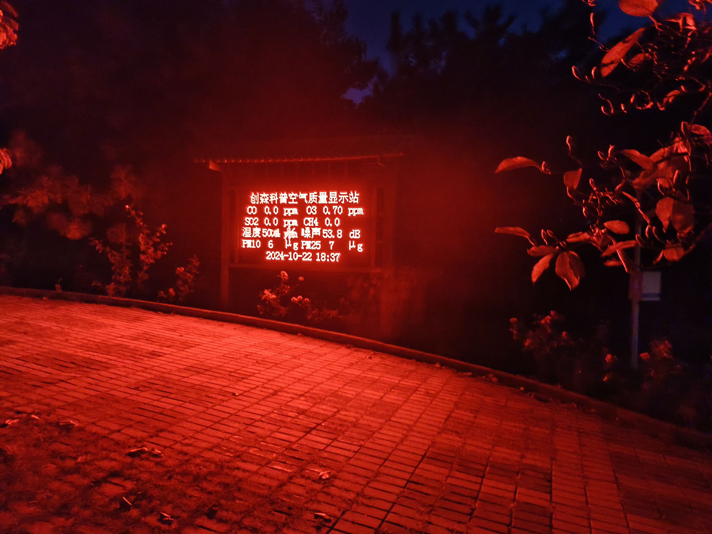 云岗森林公园旅行图片 2