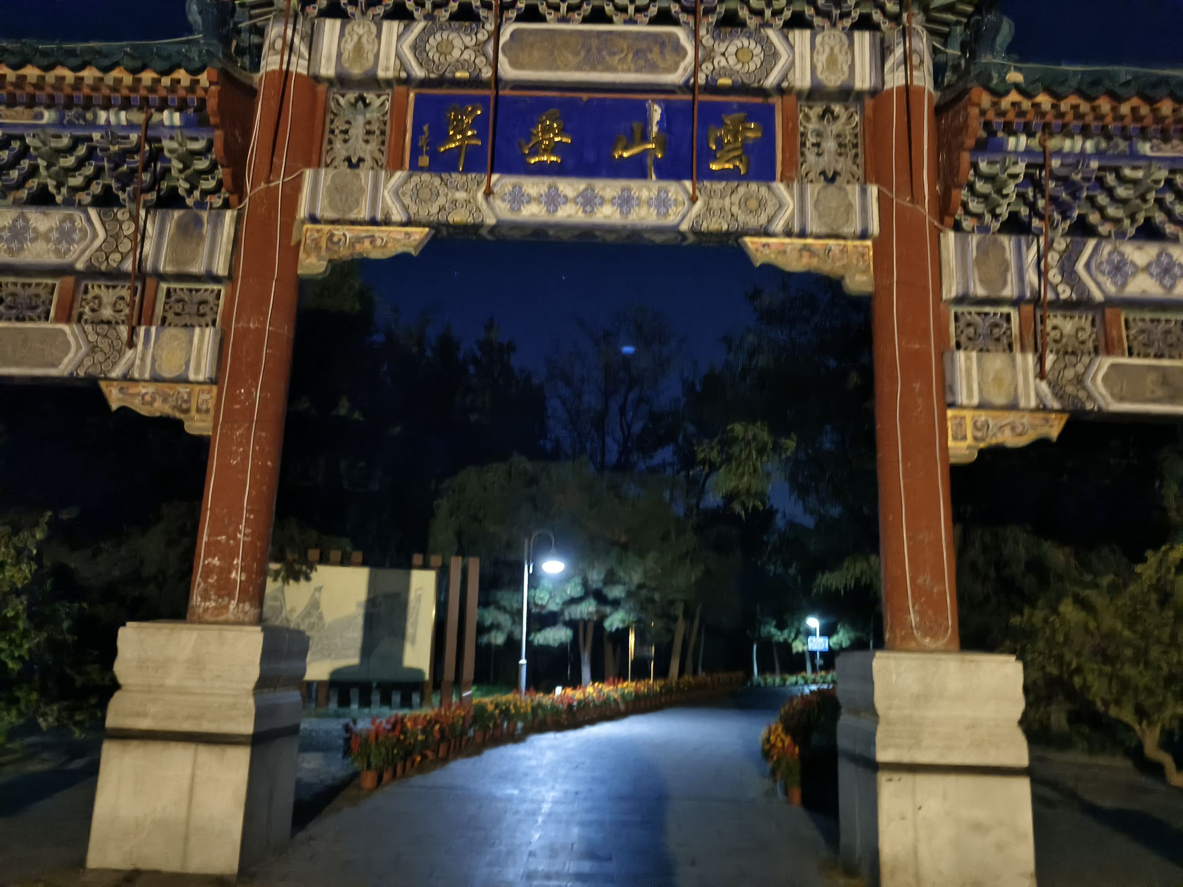 云岗森林公园旅行图片 3