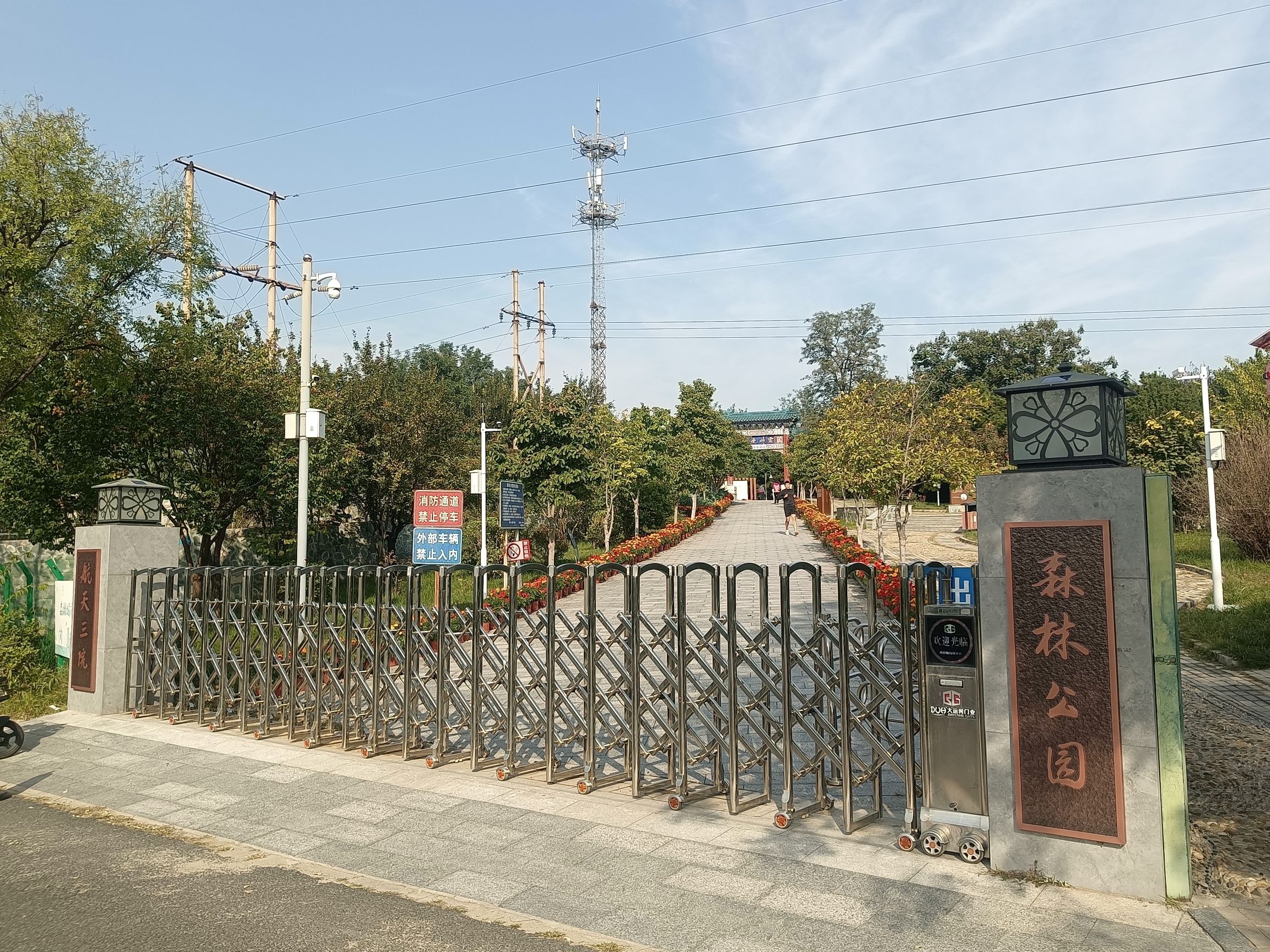 云岗森林公园旅行图片 1