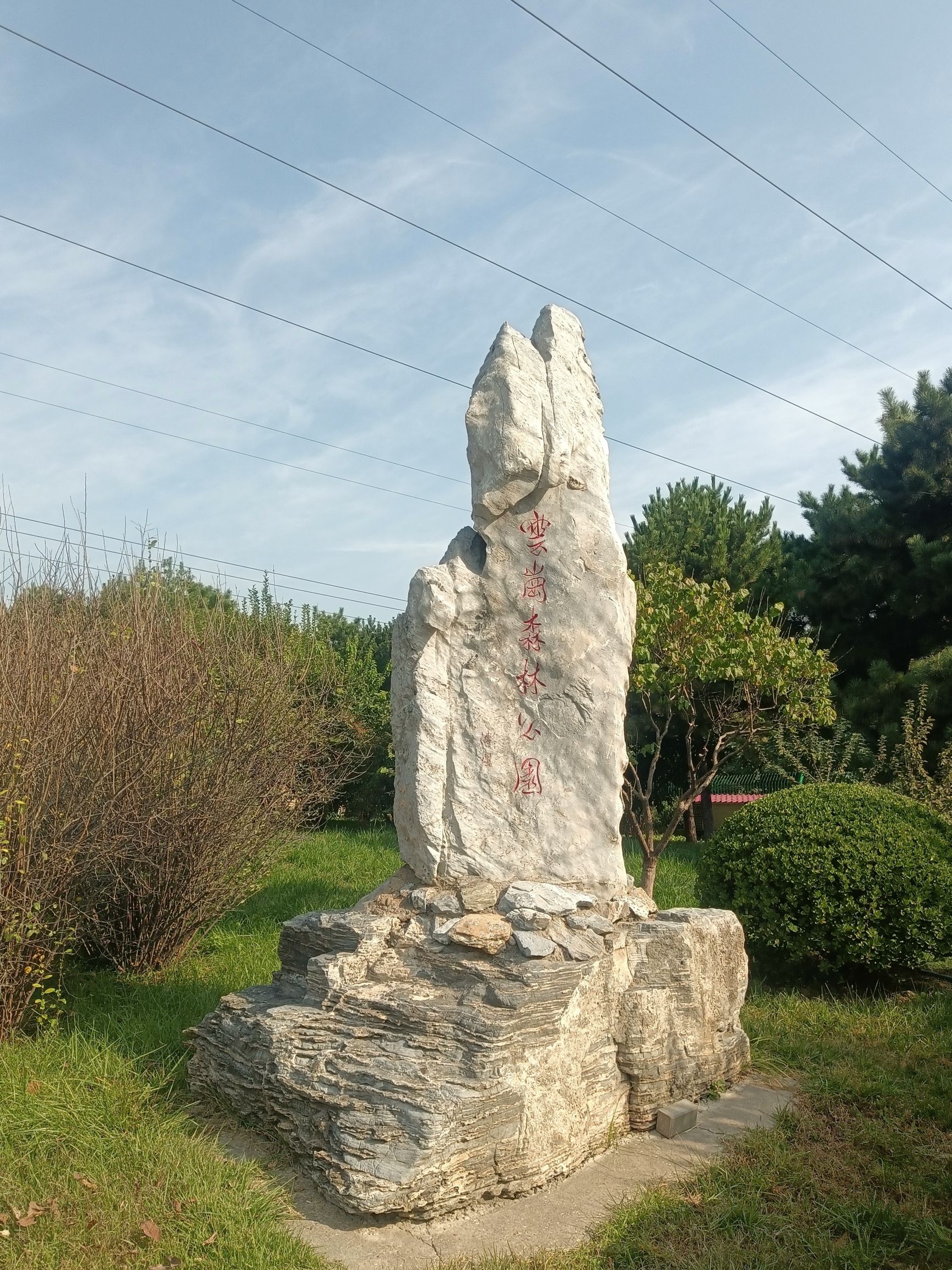 云岗森林公园旅行图片 2
