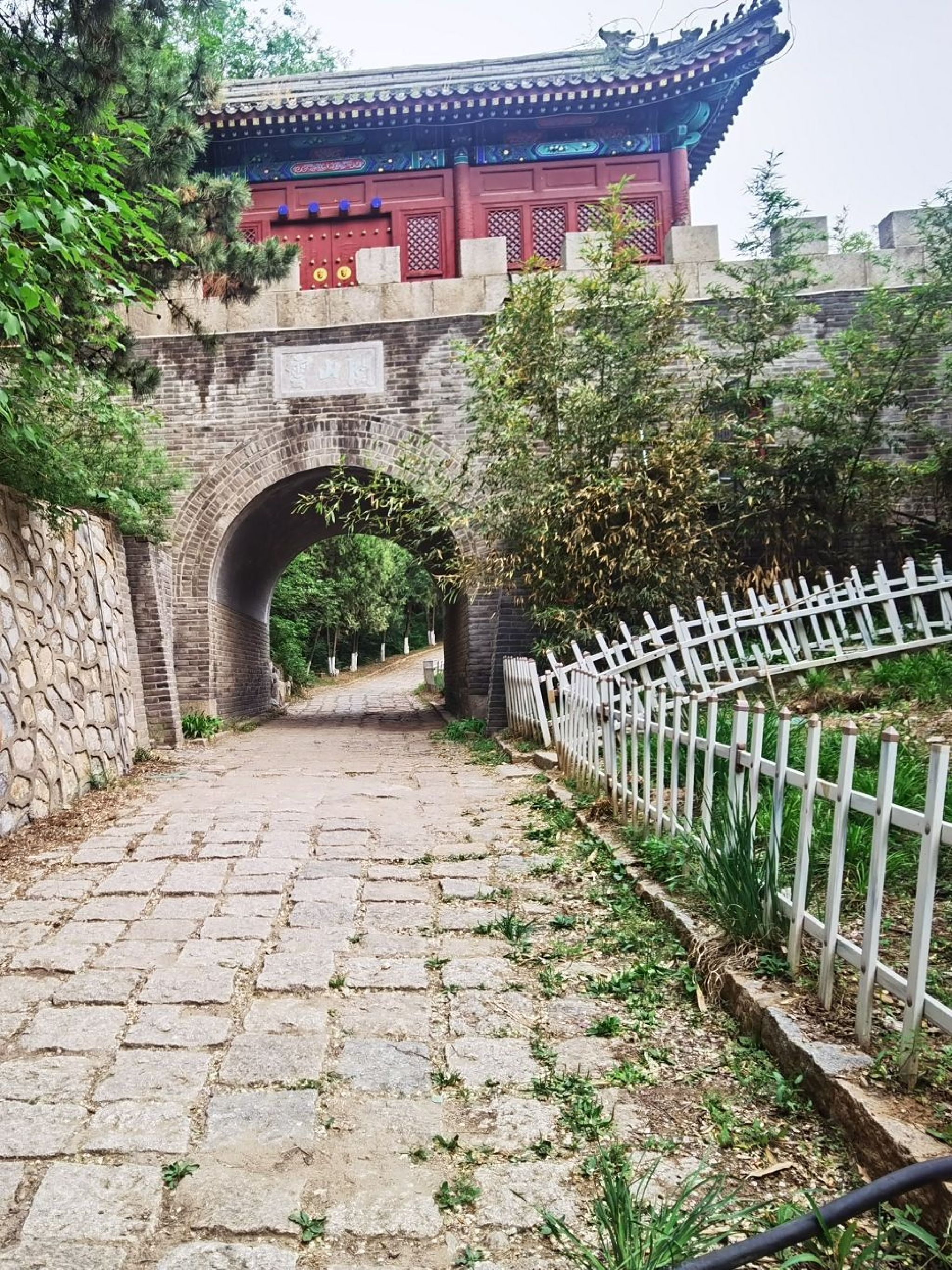 云岗森林公园旅行图片 1