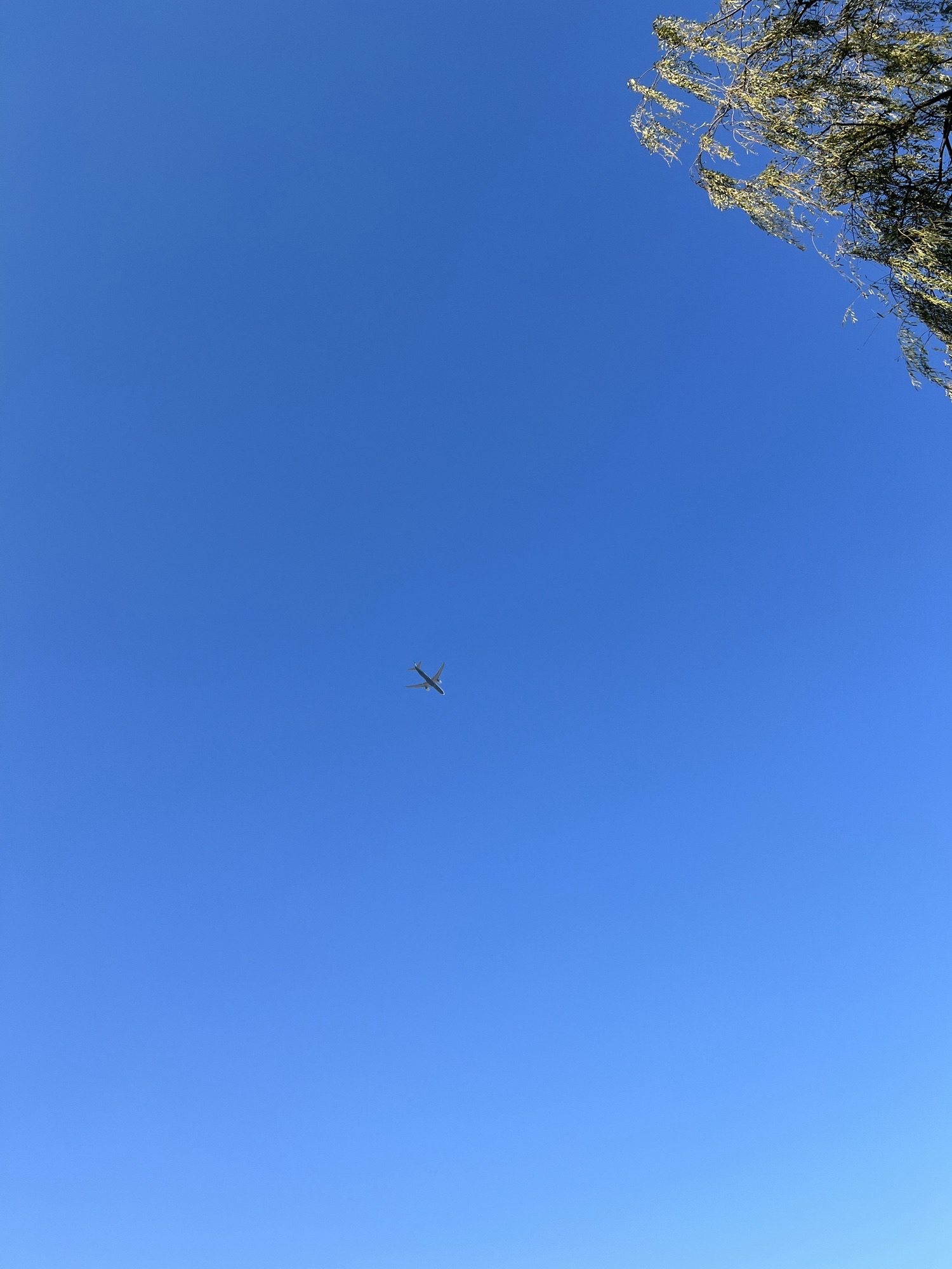 卧龙公园旅行图片 1