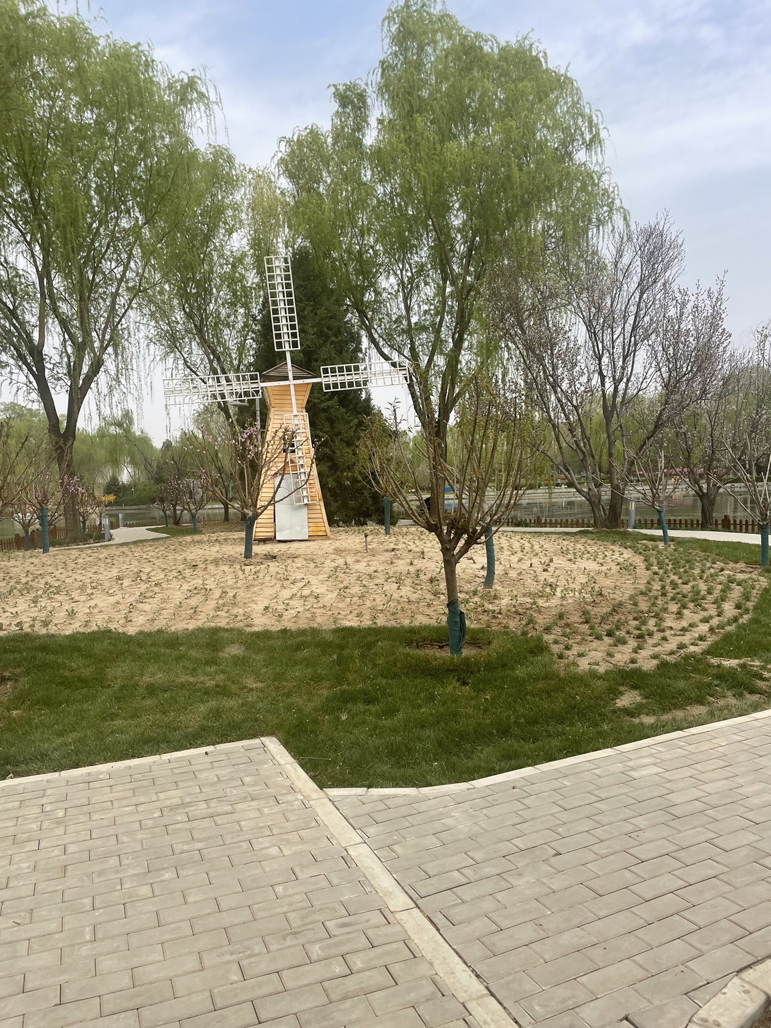 卧龙公园旅行图片 2