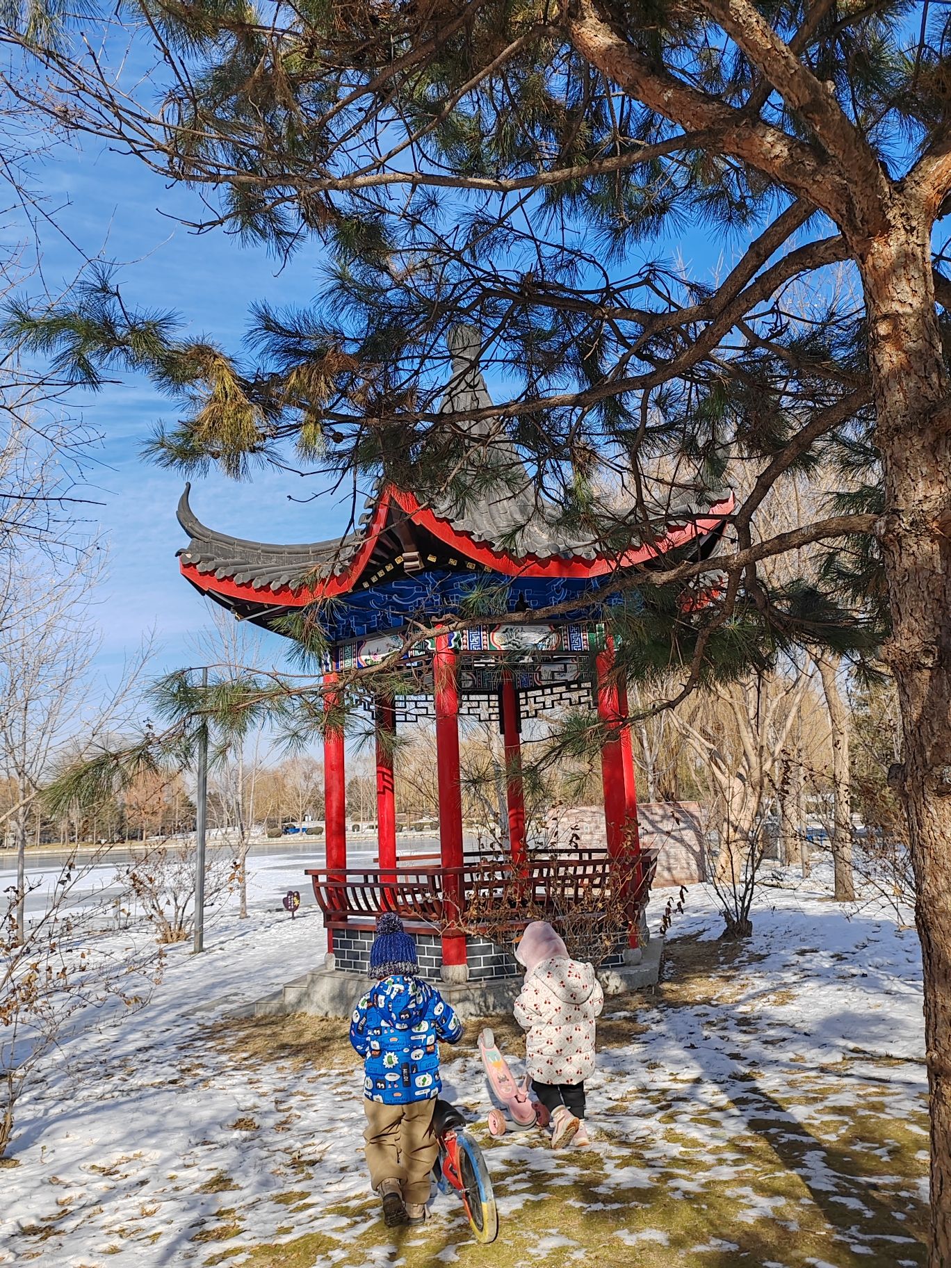 卧龙公园旅行图片 1