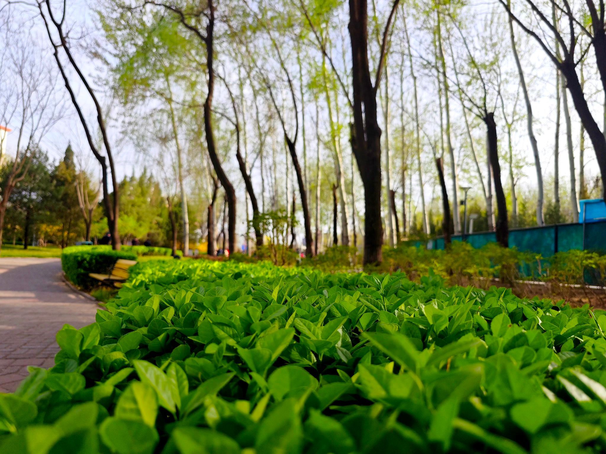 卧龙公园旅行图片 1