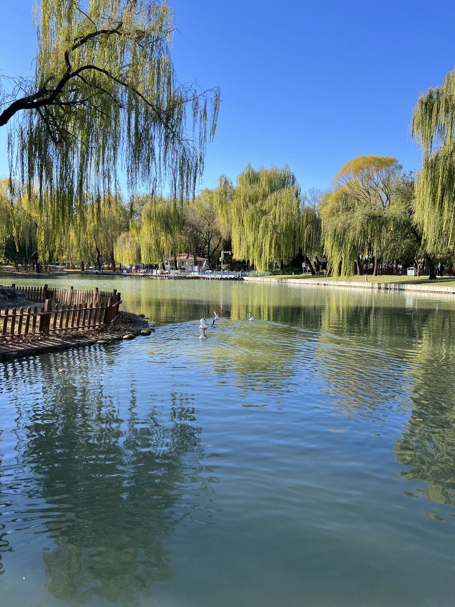 卧龙公园旅行图片 2